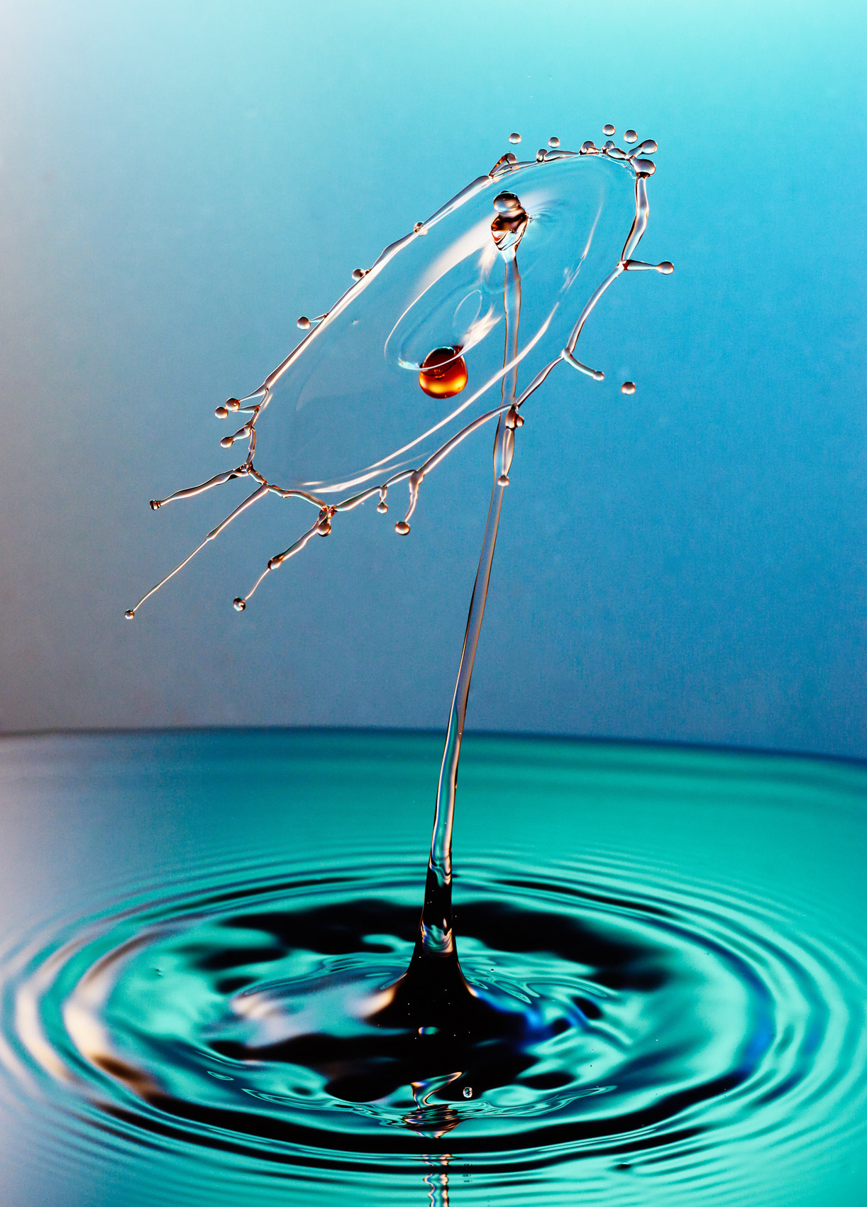90mm F2.8 sample photo. Collide xvii photography
