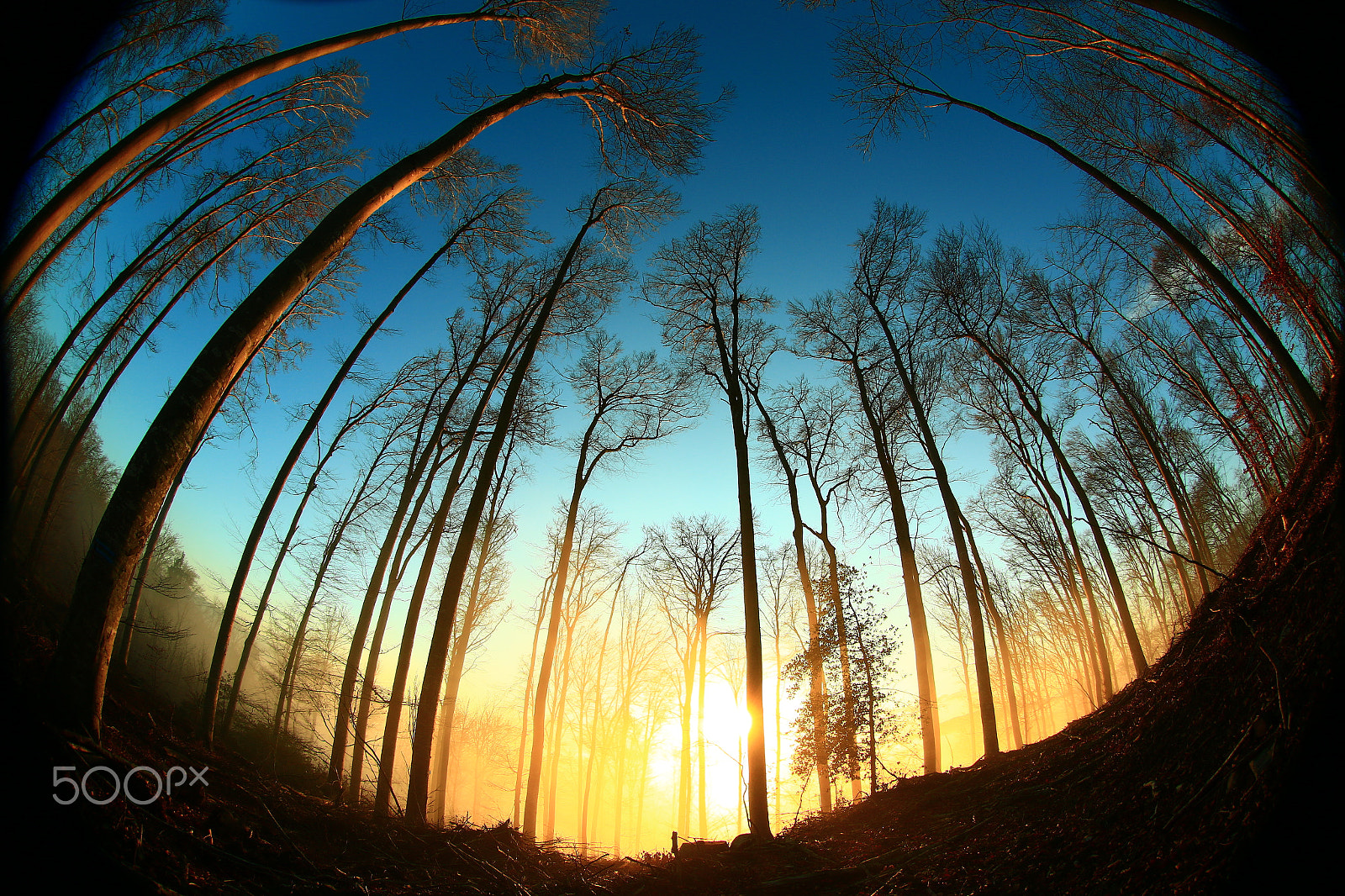 Canon EF 8-15mm F4L Fisheye USM sample photo. Wonderful world photography