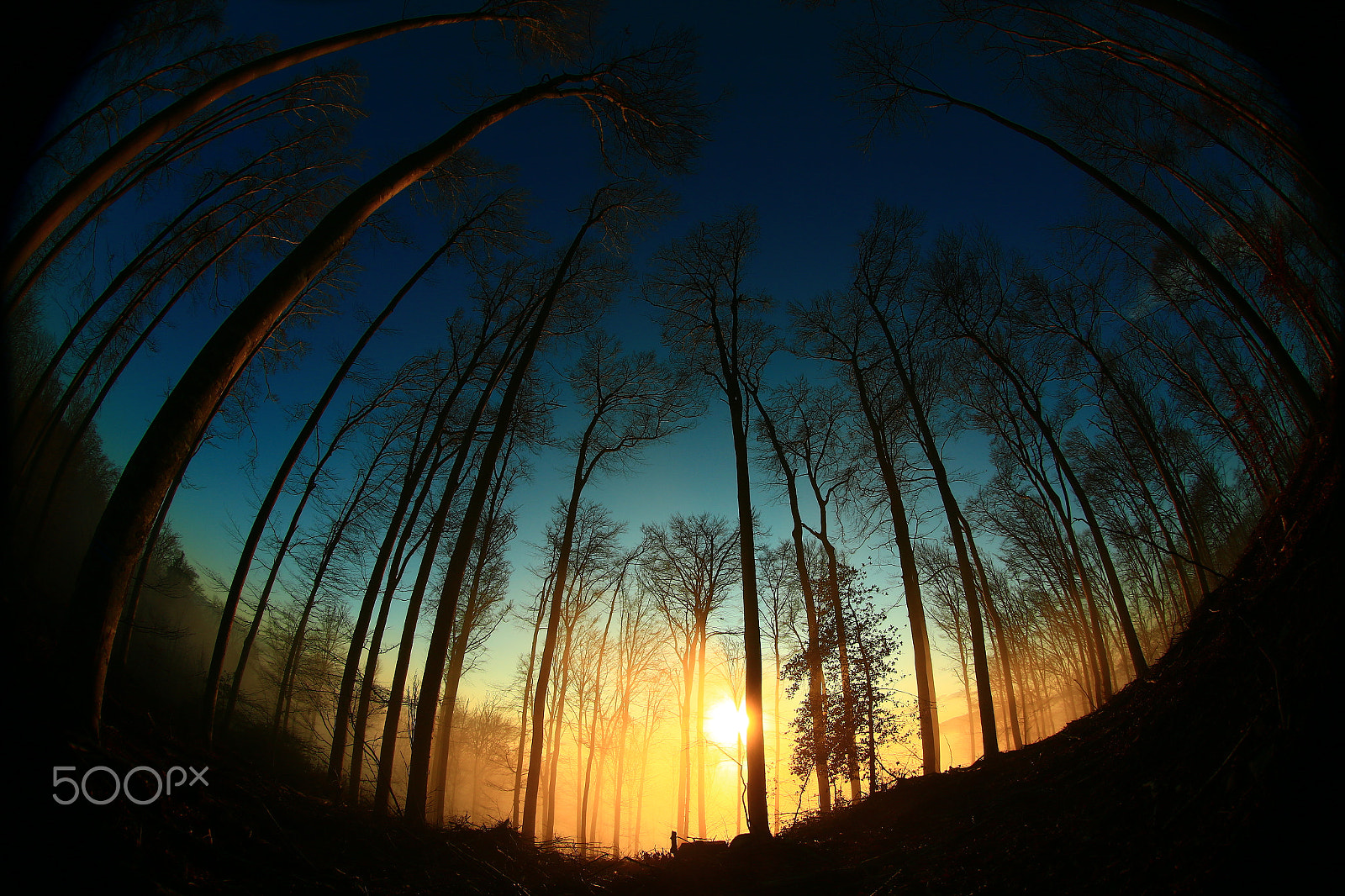 Canon EF 8-15mm F4L Fisheye USM sample photo. Wonderful world photography
