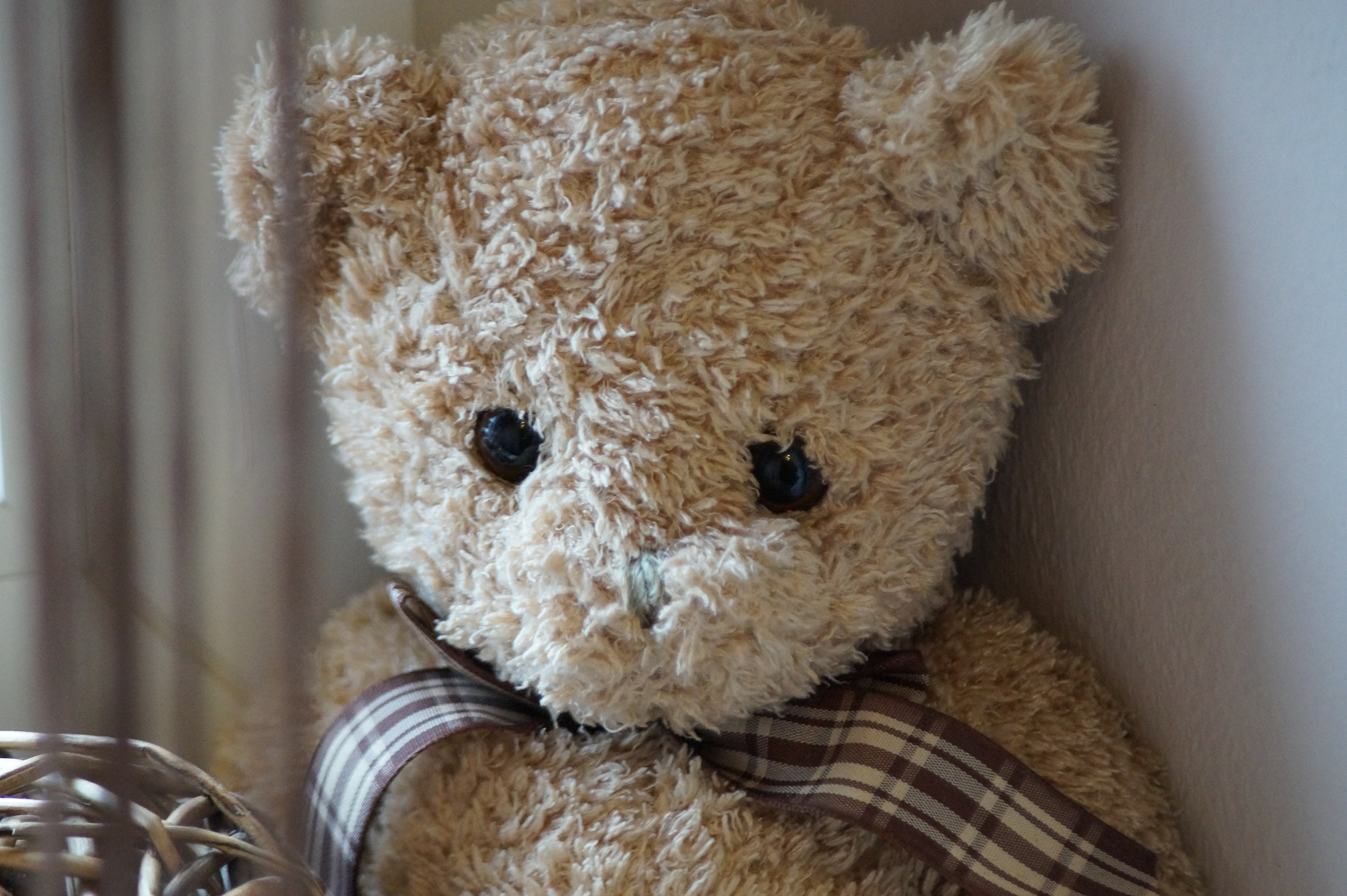 Minolta AF 70-210mm F4.5-5.6 [II] sample photo. Hello i am teddy photography