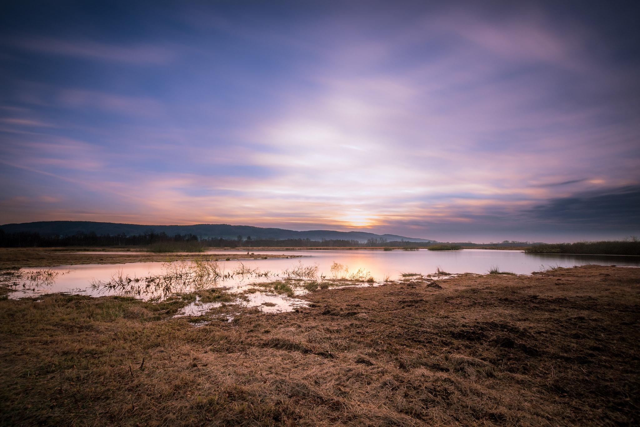 Sony ILCA-77M2 + Sigma 10-20mm F3.5 EX DC HSM sample photo. Winter bog photography