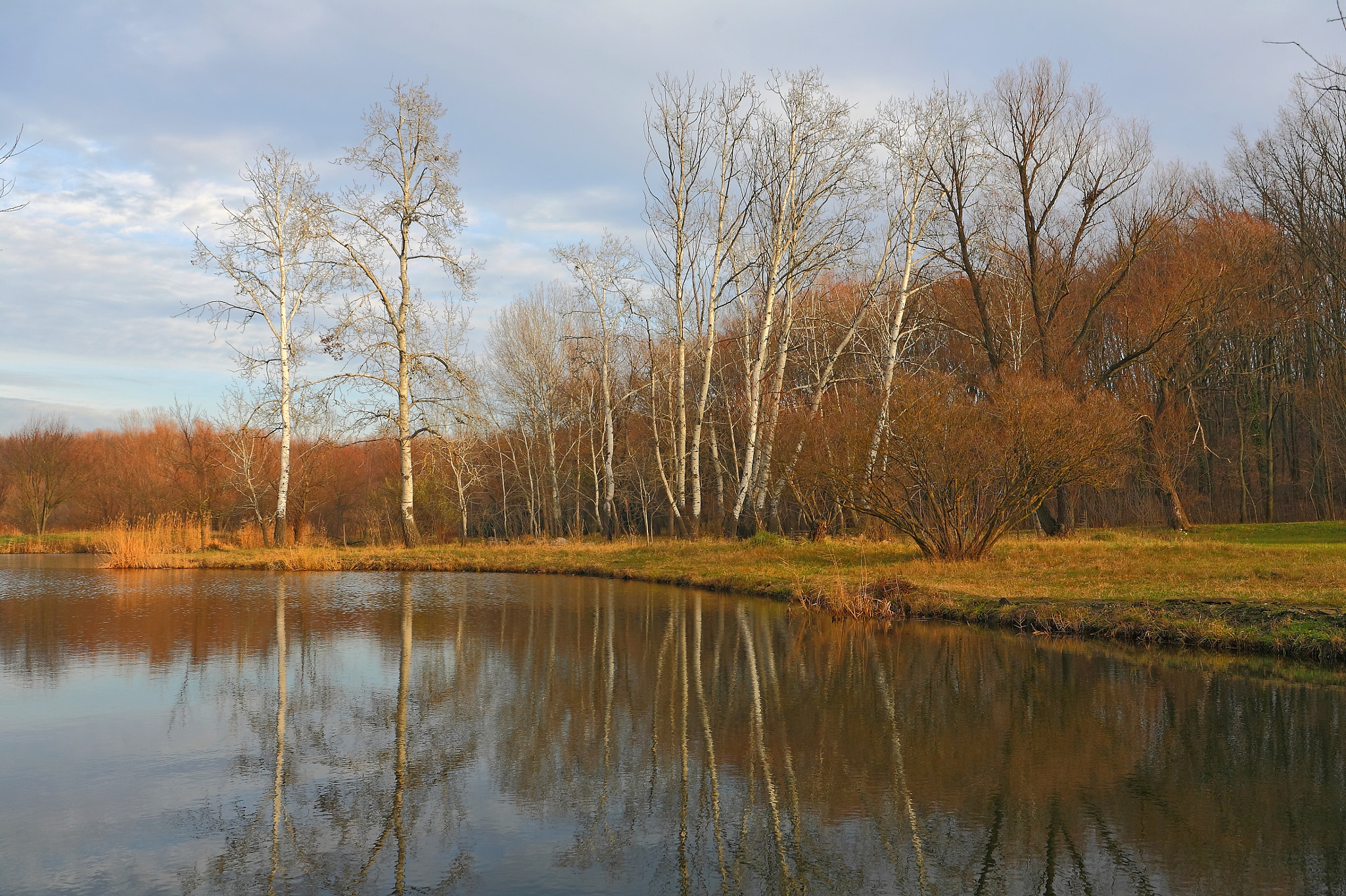 Canon EF 20-35mm F3.5-4.5 USM sample photo. Golden autumn photography