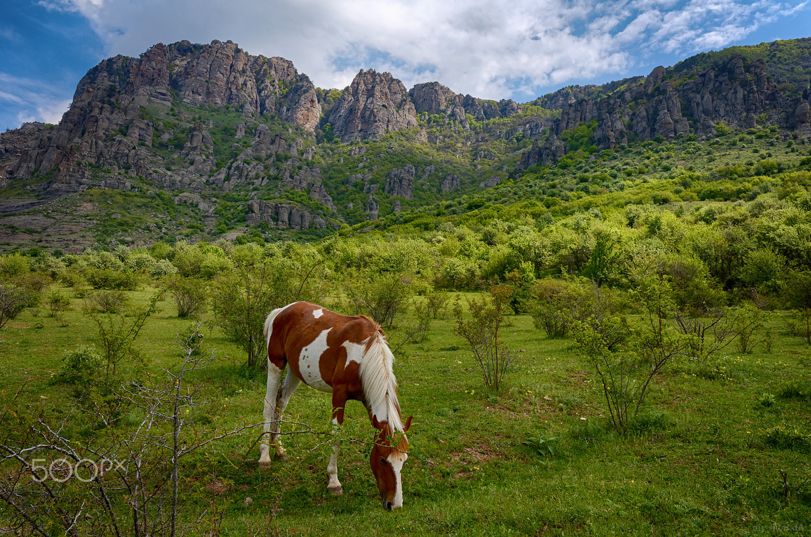 Pentax K-5 sample photo. Crimea... demerdji... photography