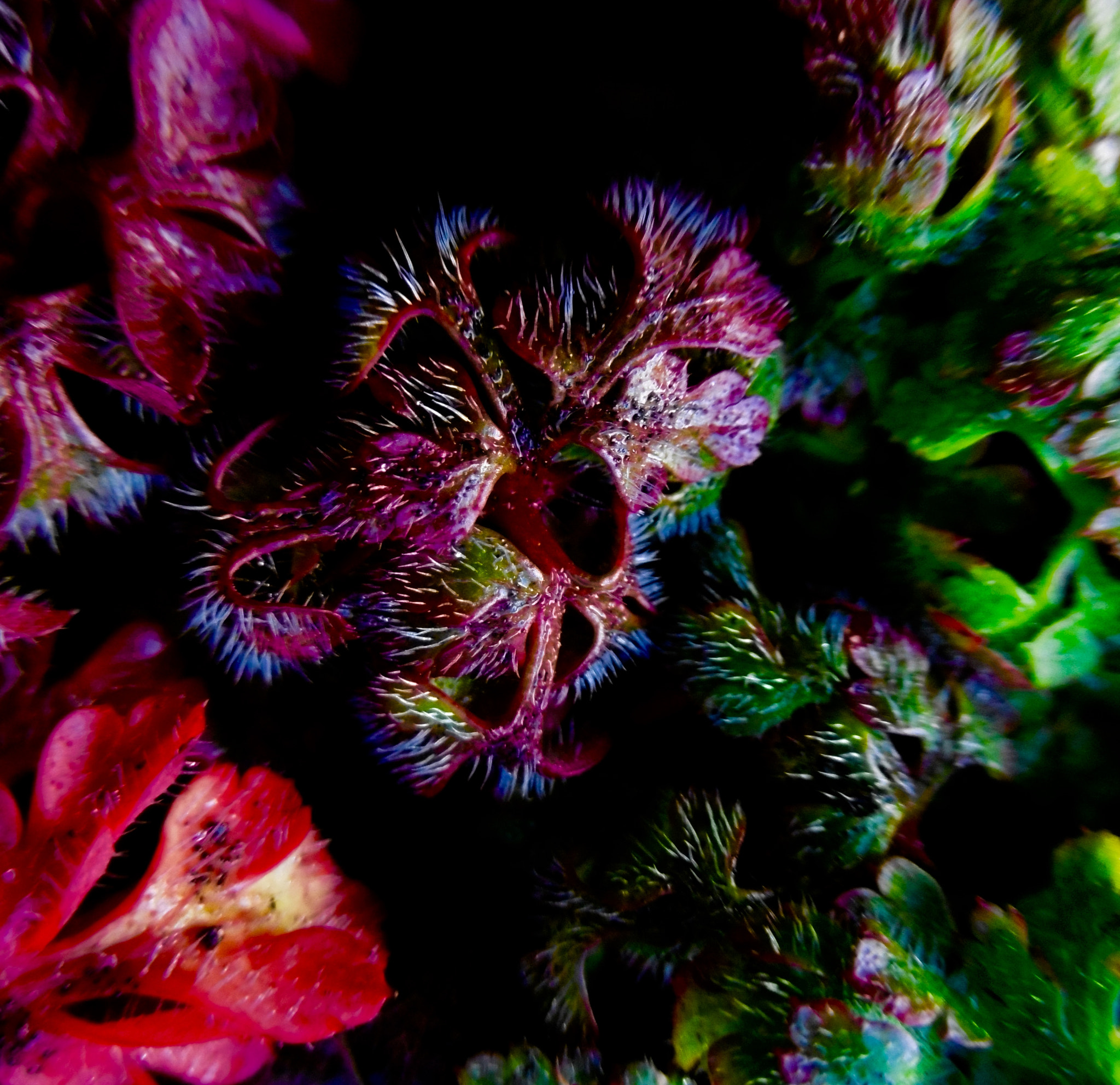 Panasonic DMC-SZ8 sample photo. Dumbarton photography