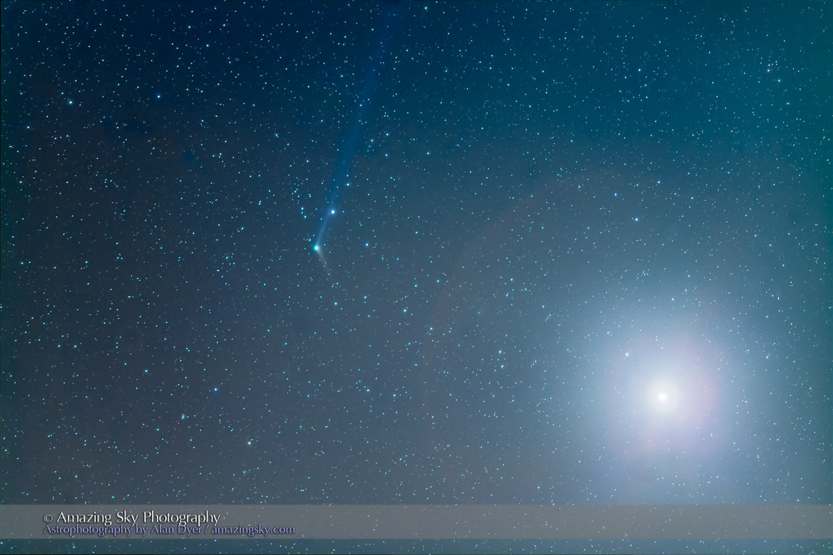 Canon EF 135mm F2L USM sample photo. Comet catalina near venus (dec 9, 2015) photography