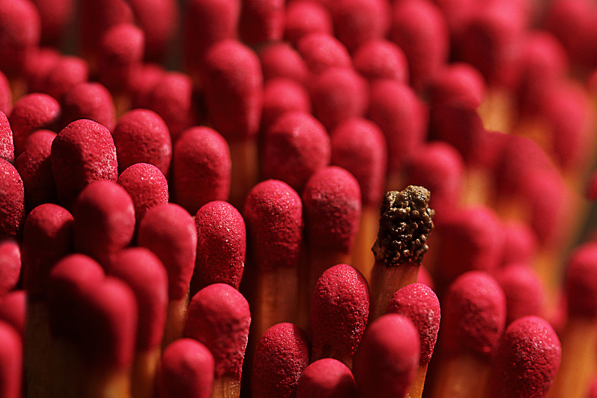 Canon EF-S 60mm F2.8 Macro USM sample photo. Burnt photography
