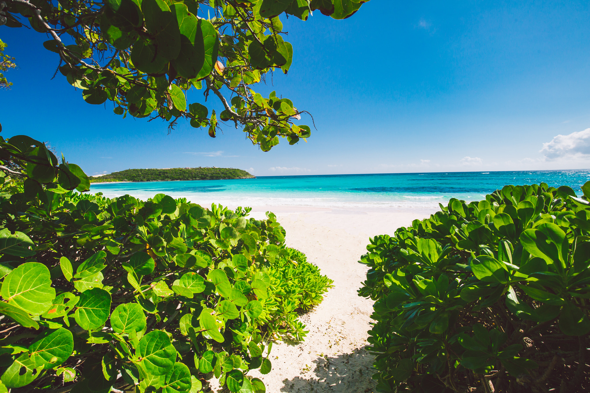 Bahamas white sand beach