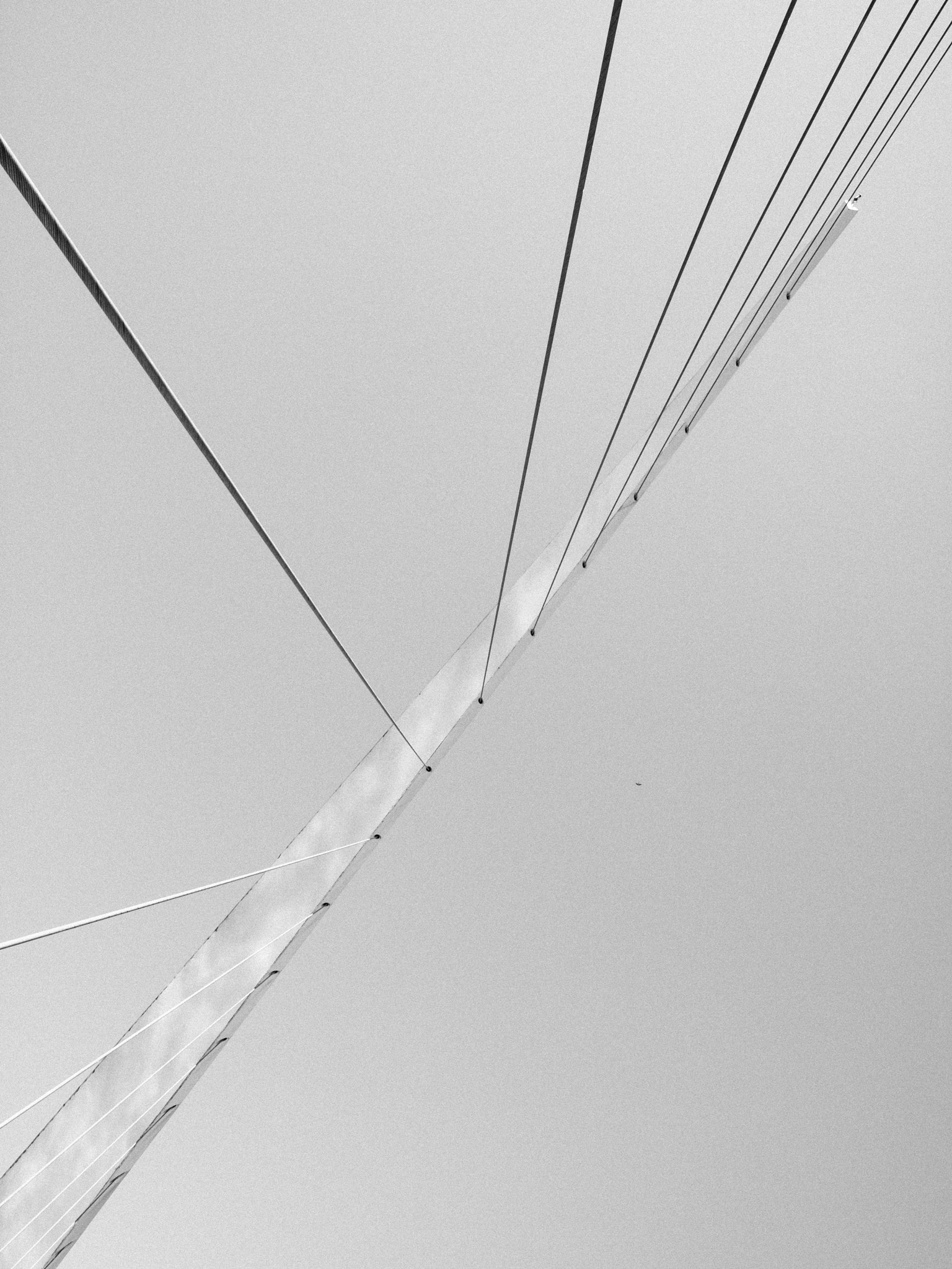 Olympus E-30 + OLYMPUS 14-54mm Lens sample photo. Líneas en tensión photography