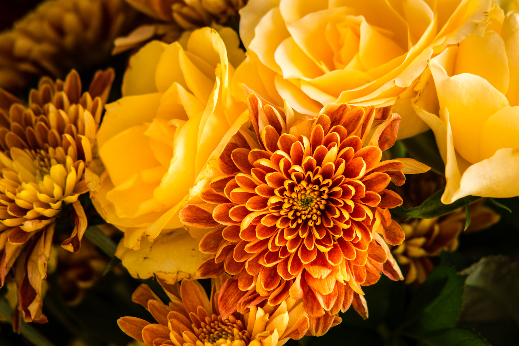 Sigma 70-200mm F2.8 EX DG Macro HSM II sample photo. Dahlia or rose? photography