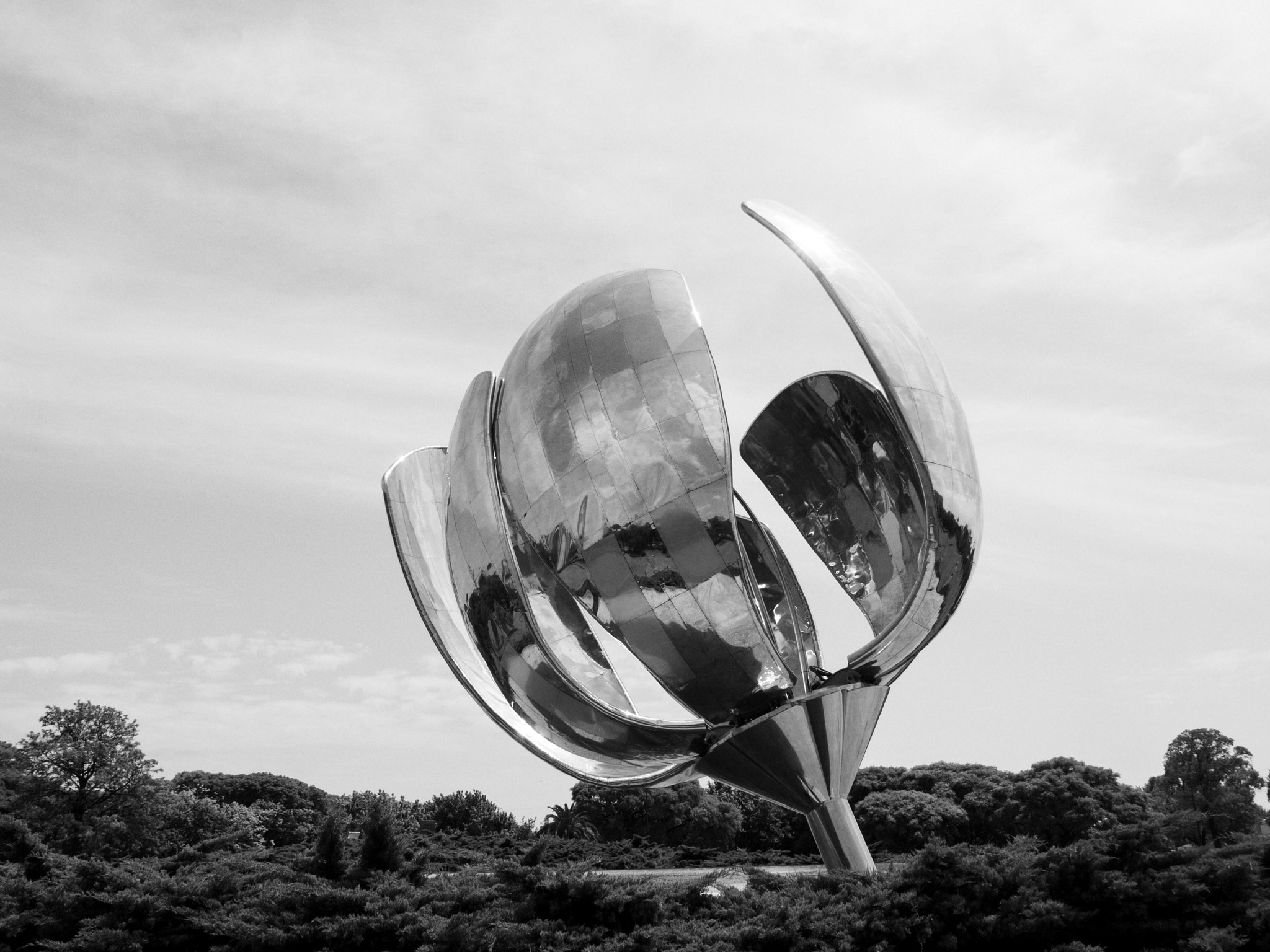 Olympus E-30 + OLYMPUS 14-54mm Lens sample photo. Floralis generica (2) photography