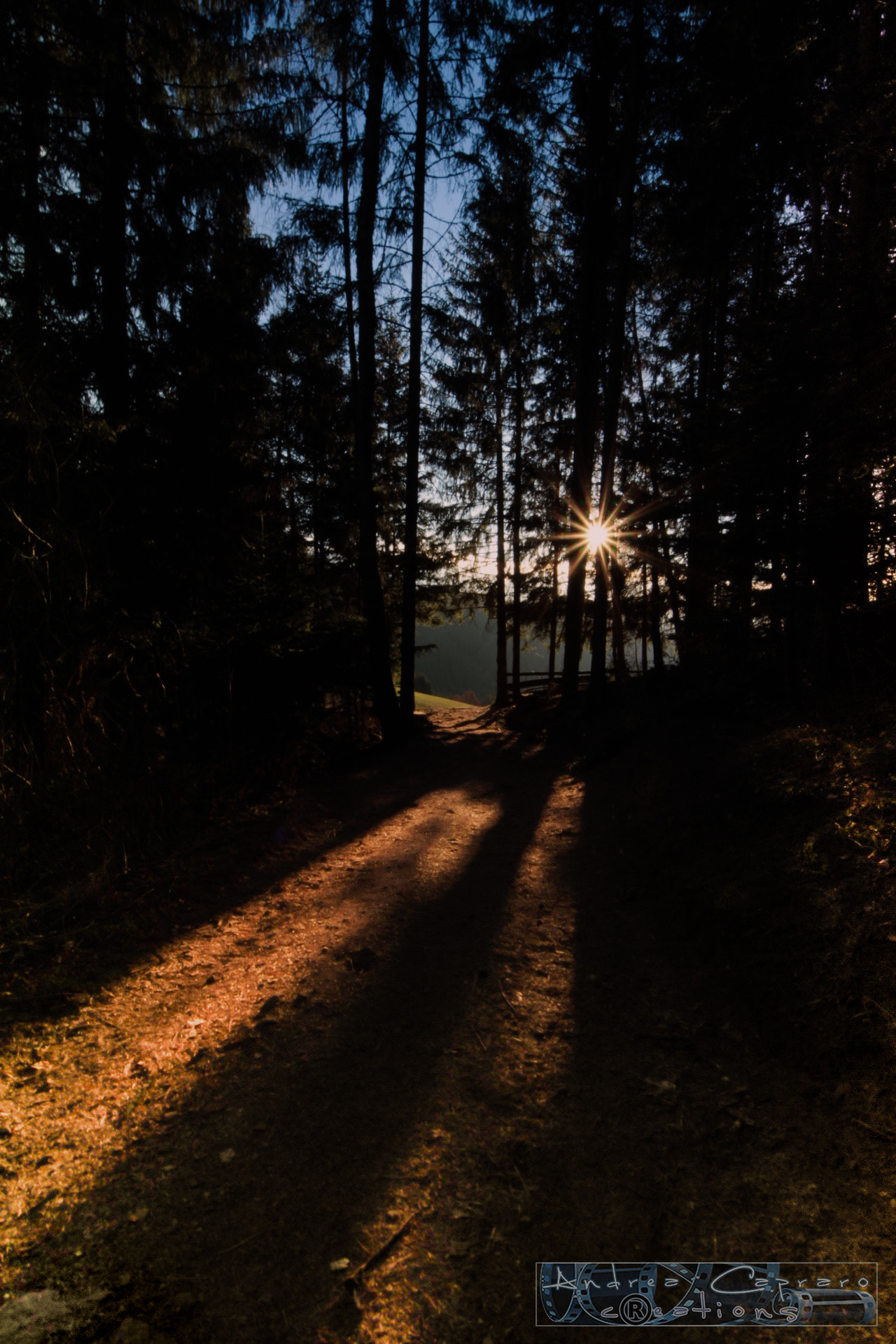 Sigma 8-16mm F4.5-5.6 DC HSM sample photo. The exit. photography