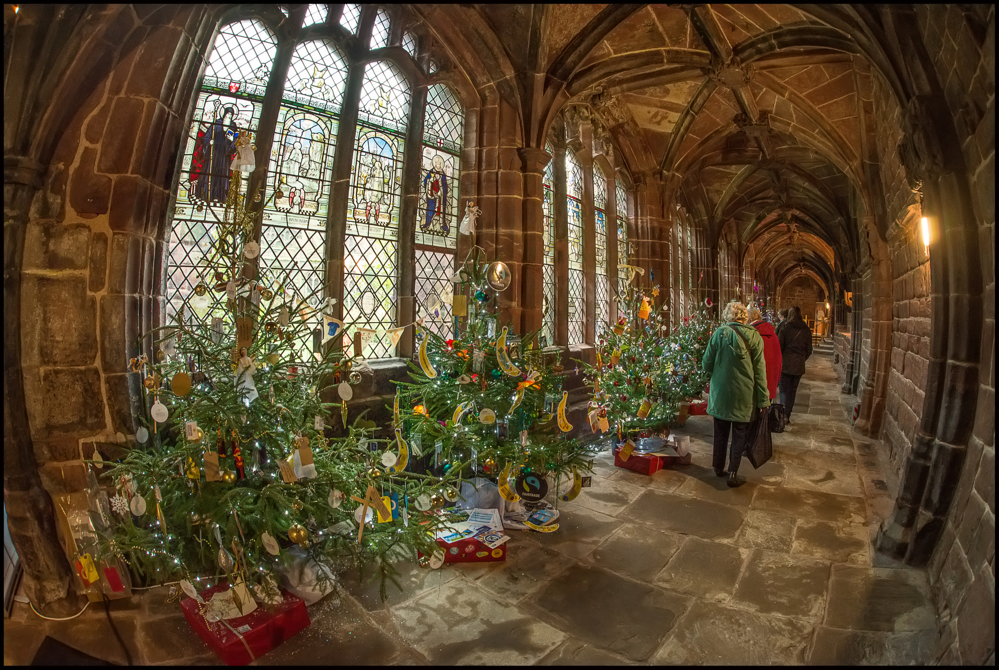 Nikon D610 + Sigma 15mm F2.8 EX DG Diagonal Fisheye sample photo. Christmas trees photography