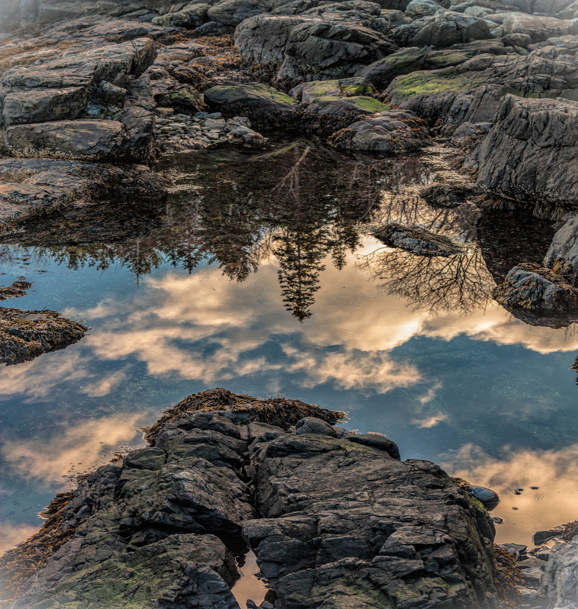 Canon EOS 450D (EOS Rebel XSi / EOS Kiss X2) sample photo. Rock pool reflection photography