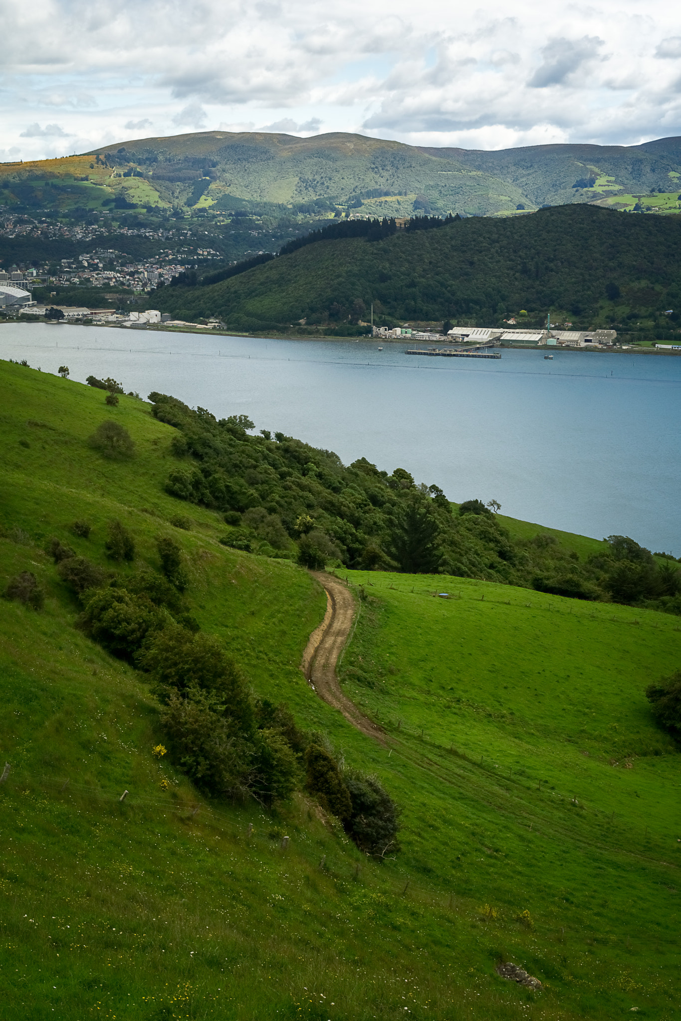 Sony a6000 + Sony Sonnar T* FE 35mm F2.8 ZA sample photo. Dunedin photography