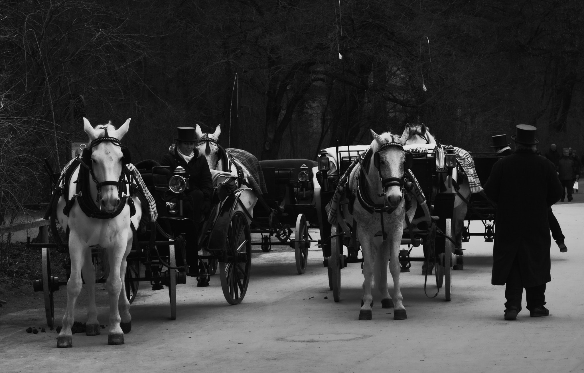 Nikon D7100 + Nikon AF Nikkor 85mm F1.4D sample photo. Englischen garten photography