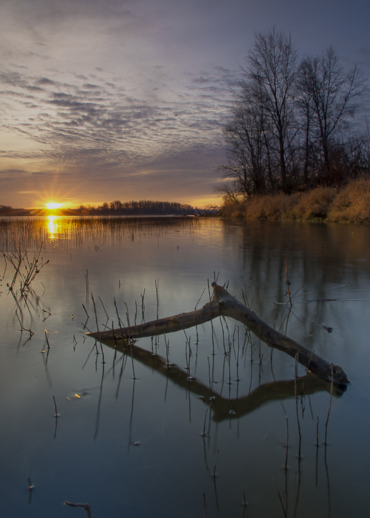 Pentax smc DA 15mm F4 ED AL Limited sample photo. Sunrise over the river photography