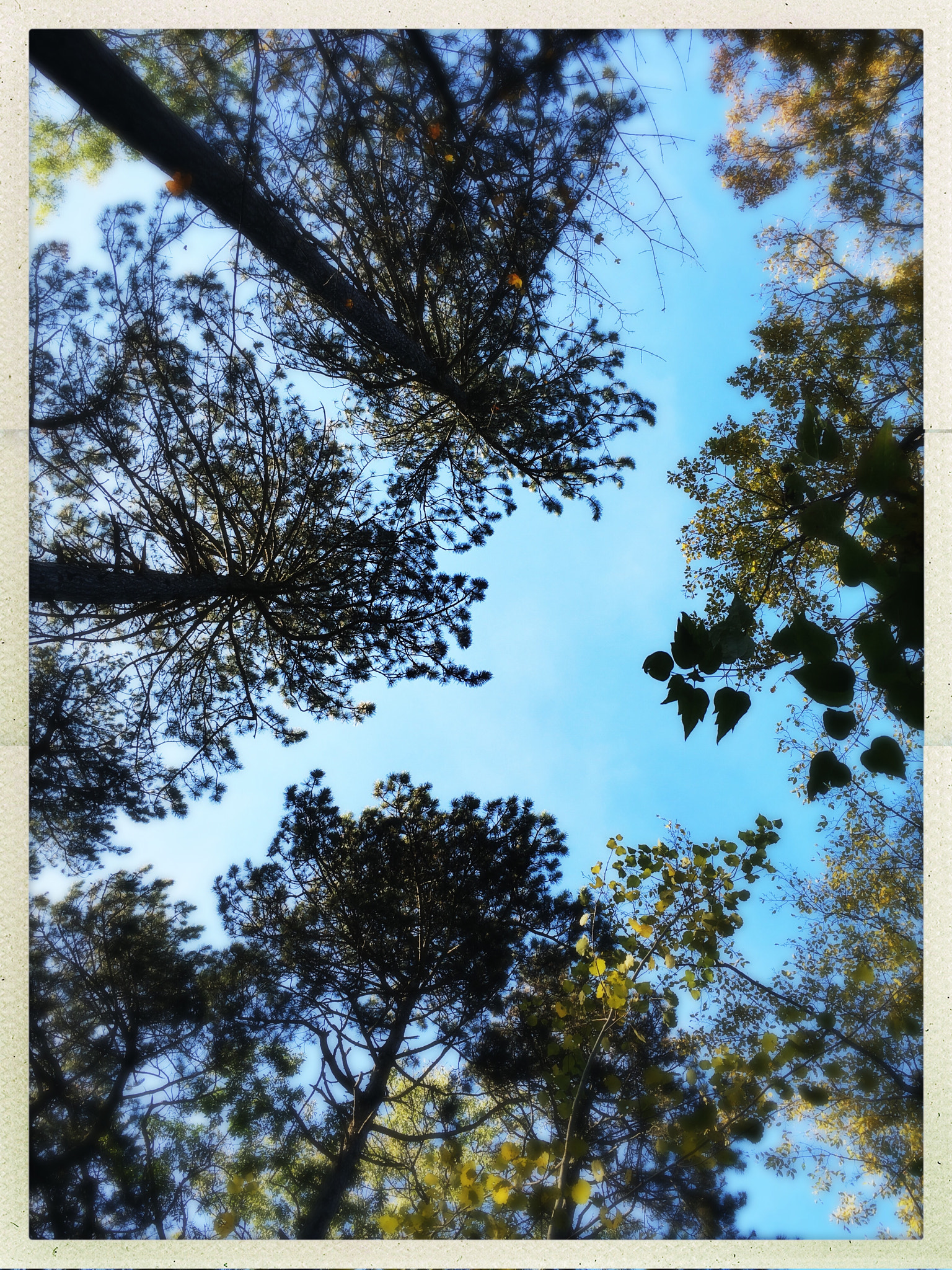 Hipstamatic 301 sample photo