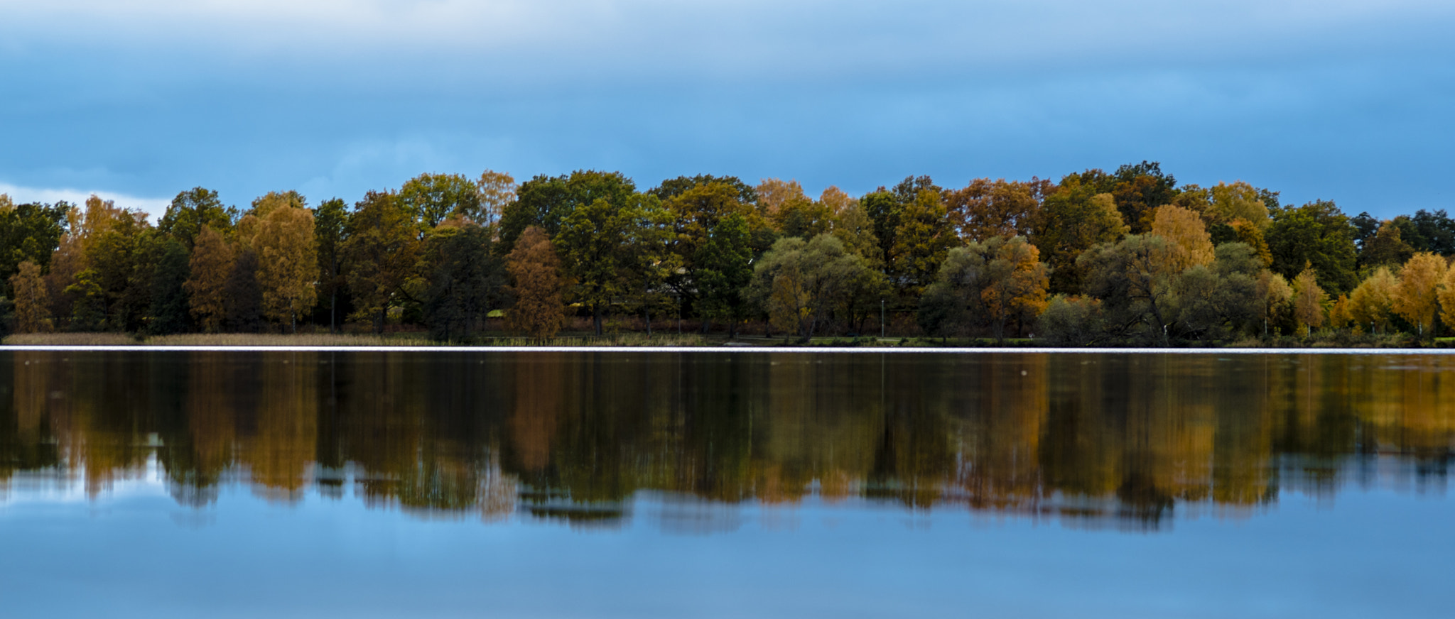 ZEISS Makro-Planar T* 100mm F2 sample photo. Aspect ratio photography