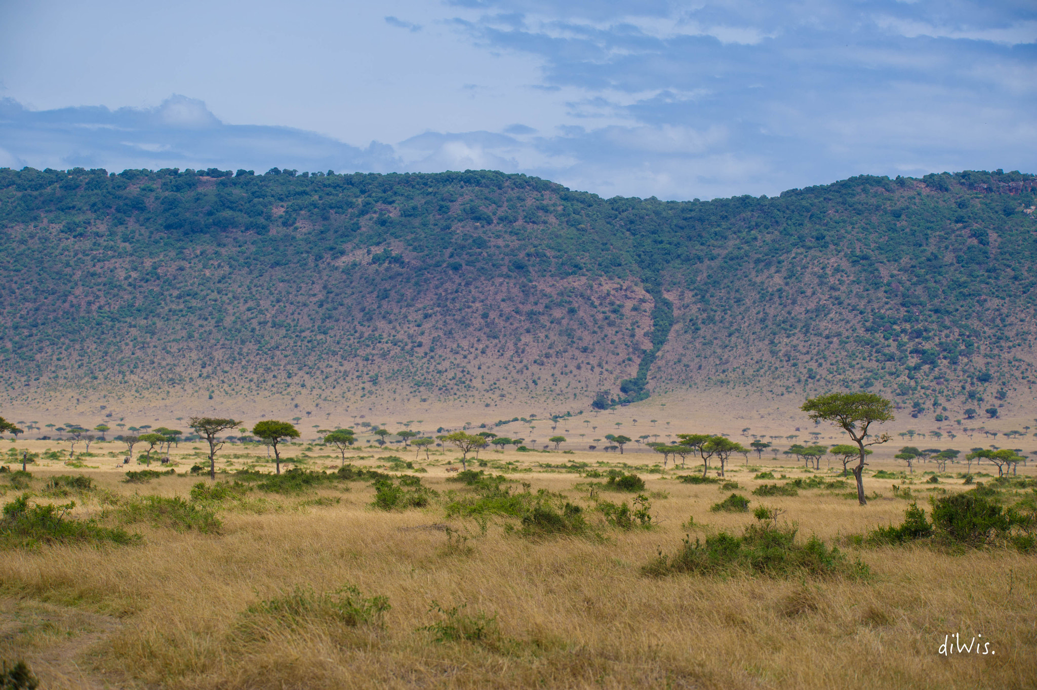 Sigma 150-600mm F5-6.3 DG OS HSM | S sample photo. Valley photography