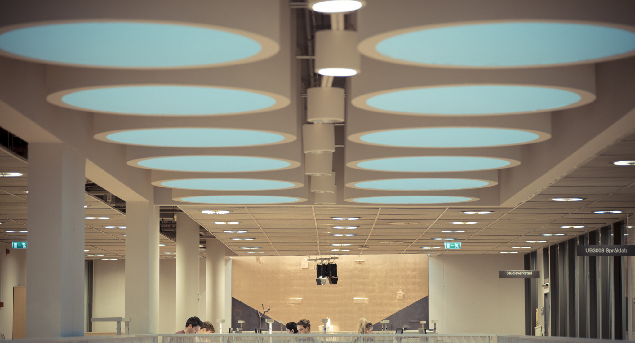 ZEISS Makro-Planar T* 100mm F2 sample photo. Linnaeus university photography