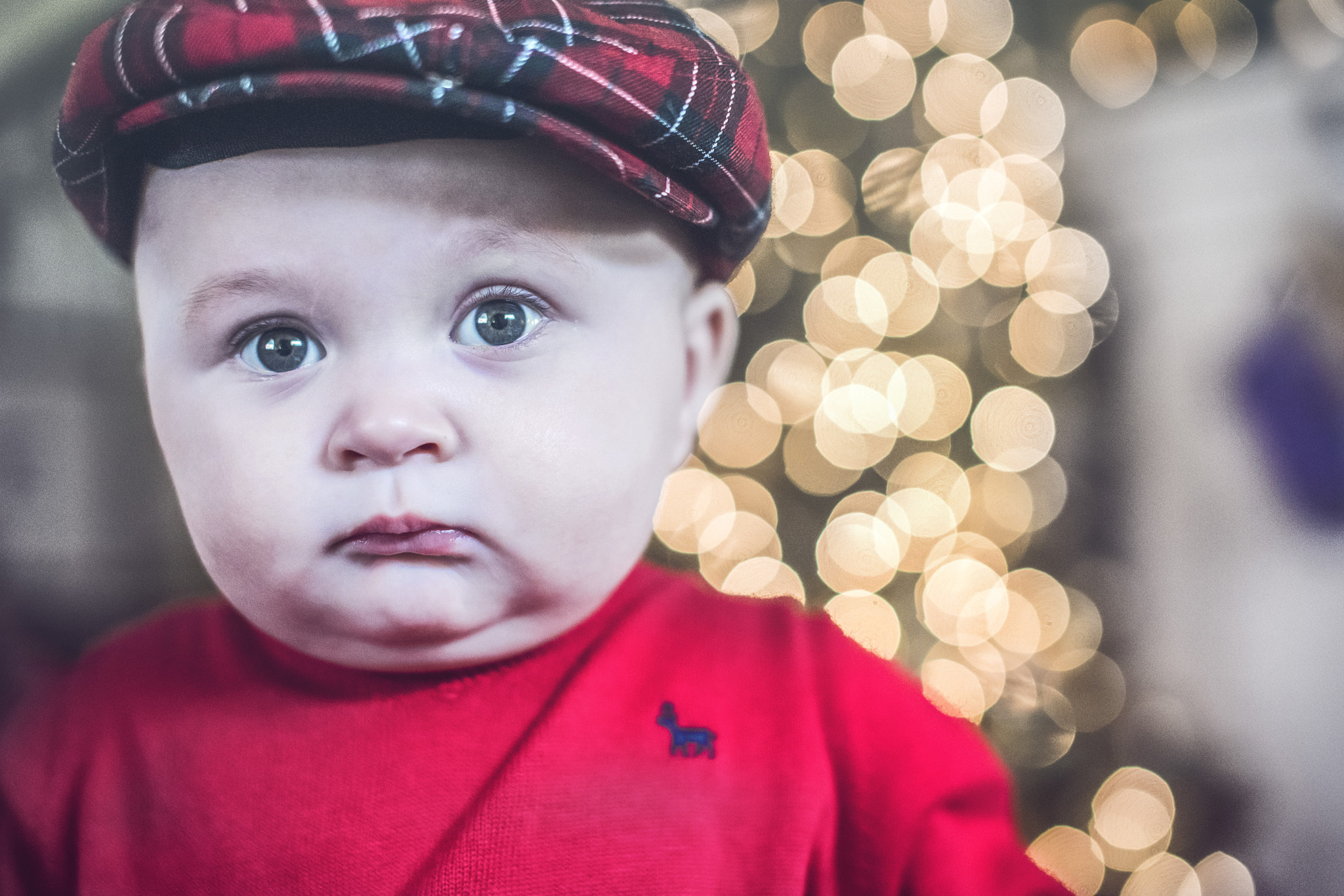 Sony a7R II + Sigma 50mm F1.4 EX DG HSM sample photo. Christmas portrait  photography