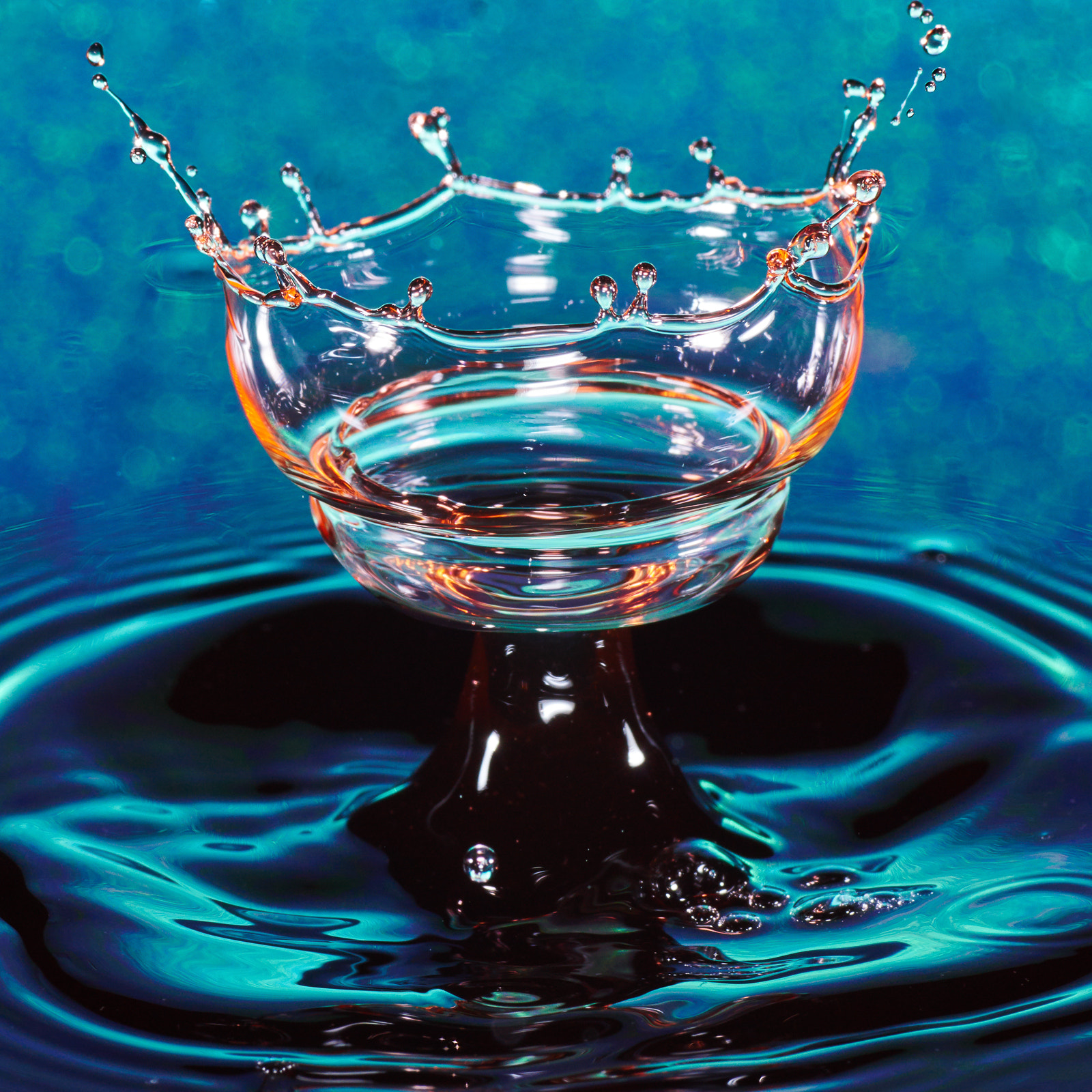 90mm F2.8 sample photo. Water drop cup photography