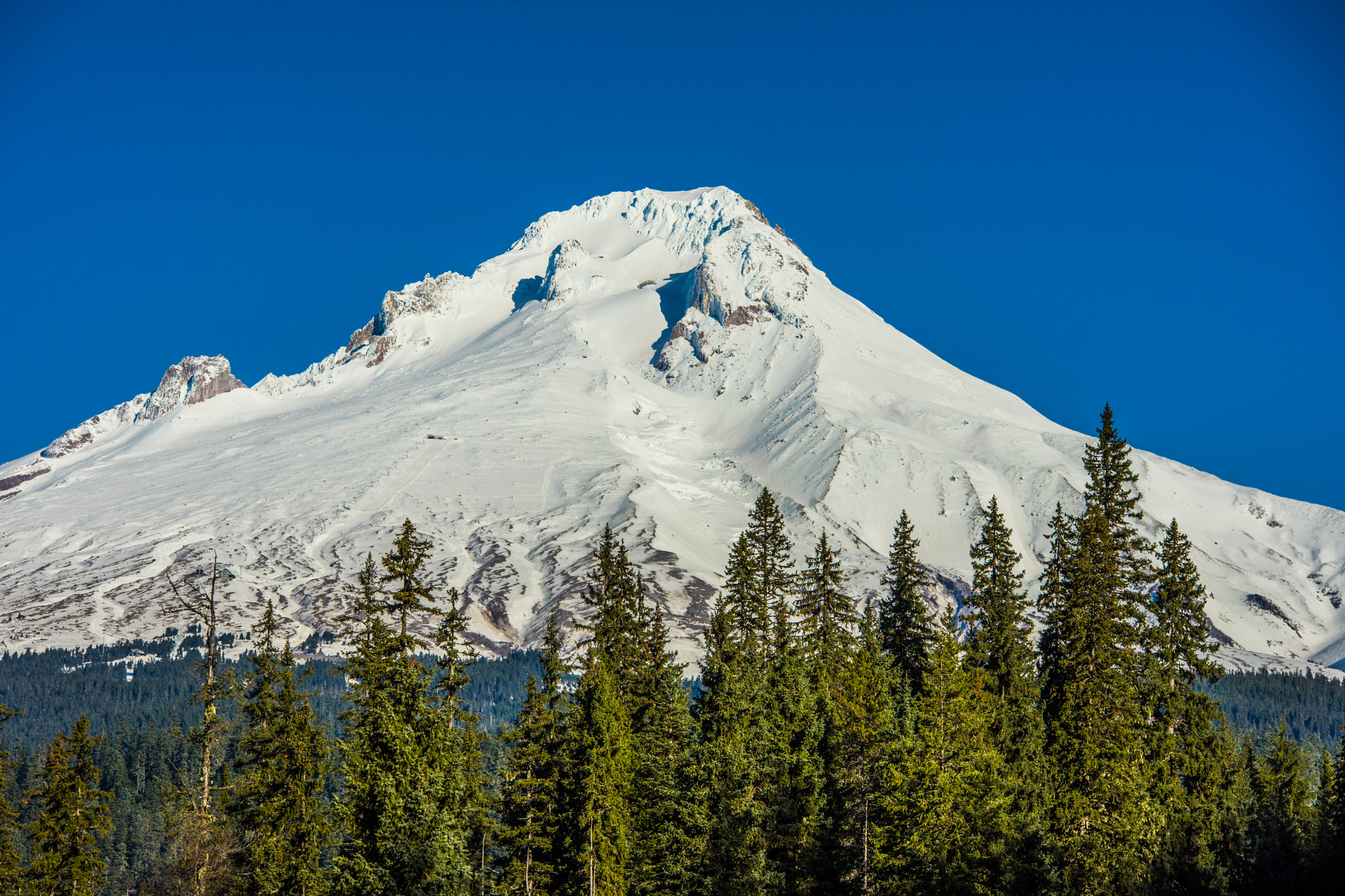 Sony a7 II + 70-200mm F2.8 sample photo. Mt. hood, oregon photography