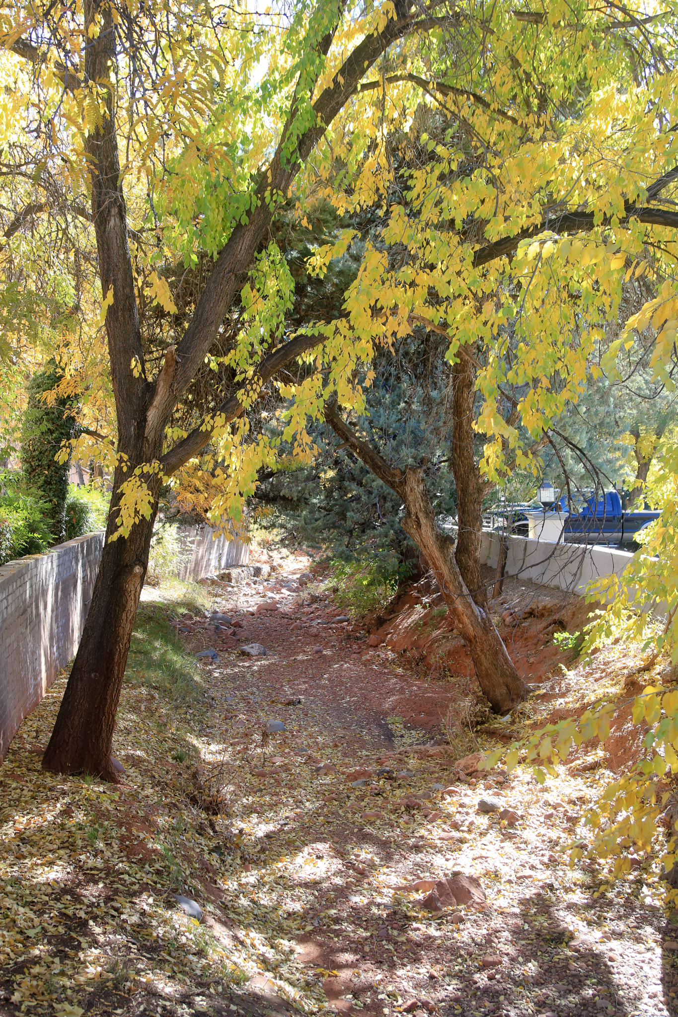 Canon EOS 760D (EOS Rebel T6s / EOS 8000D) sample photo. Sedona photography