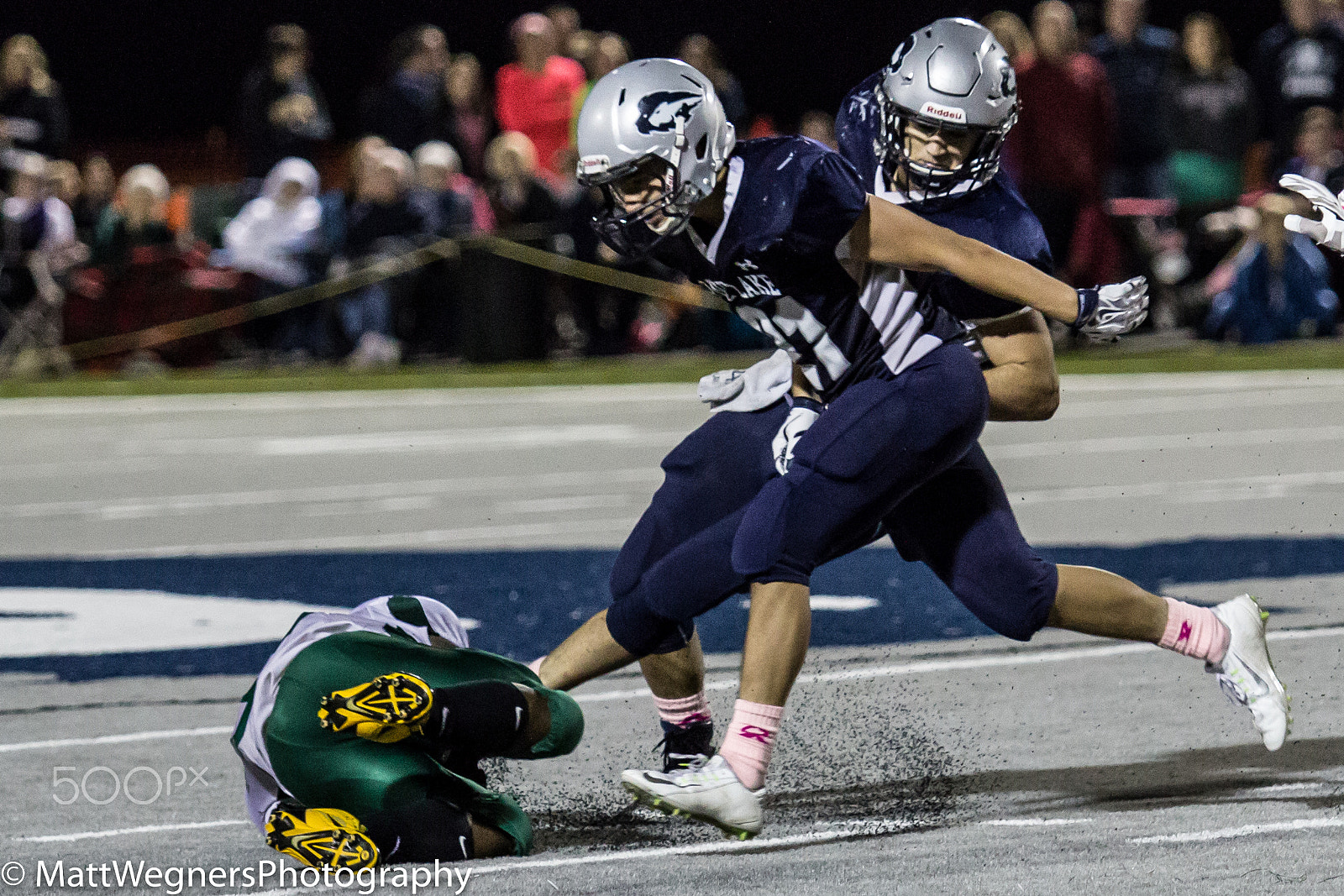 Canon EF 70-200mm F2.8L USM sample photo. Game winging play photography