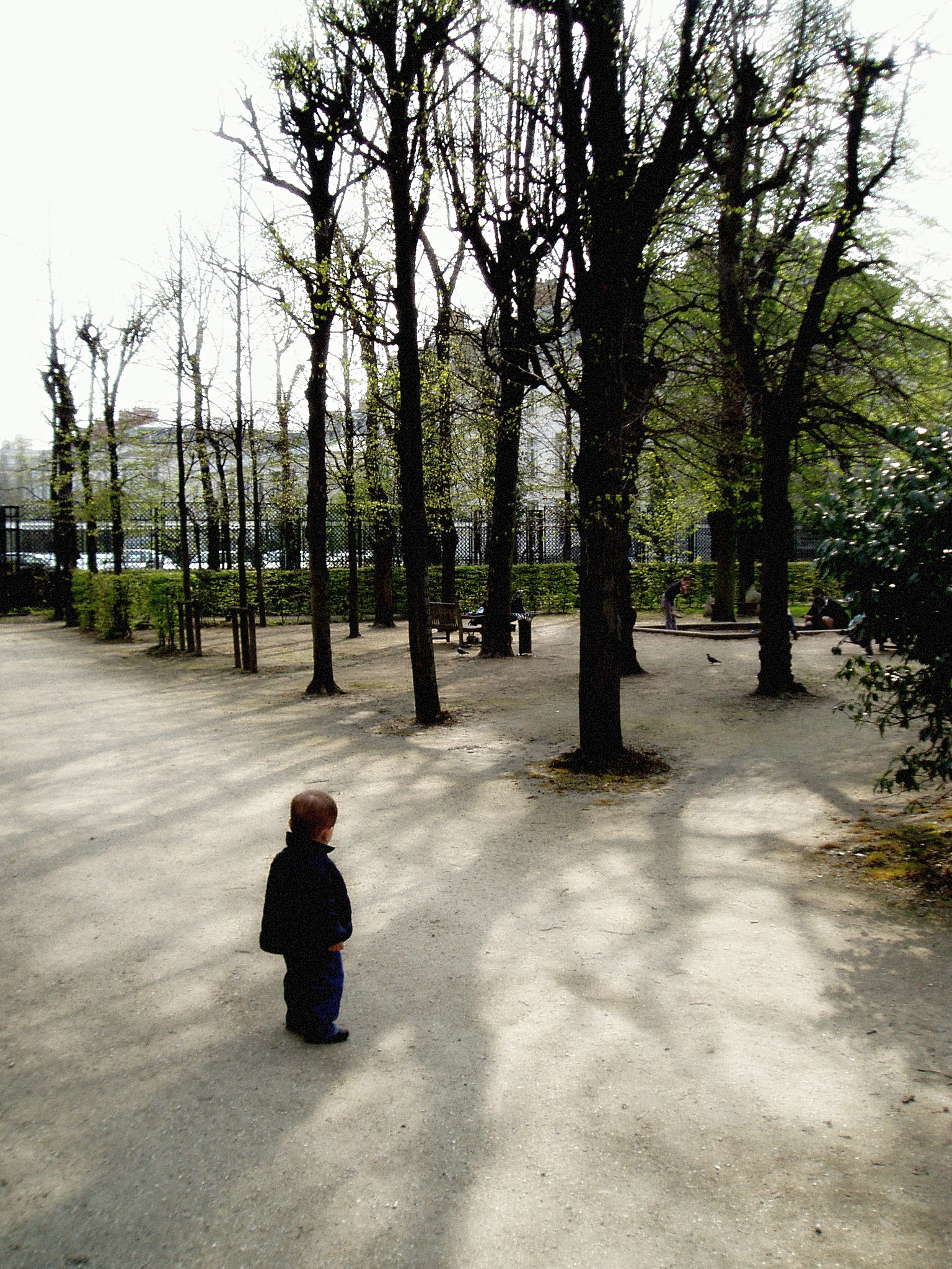 Olympus u10D,S300D,u300D sample photo. Rodan paris photography