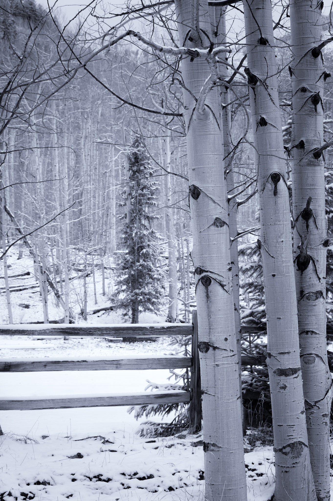 Nikon D610 + AF Zoom-Nikkor 70-210mm f/4 sample photo. Spring snow photography