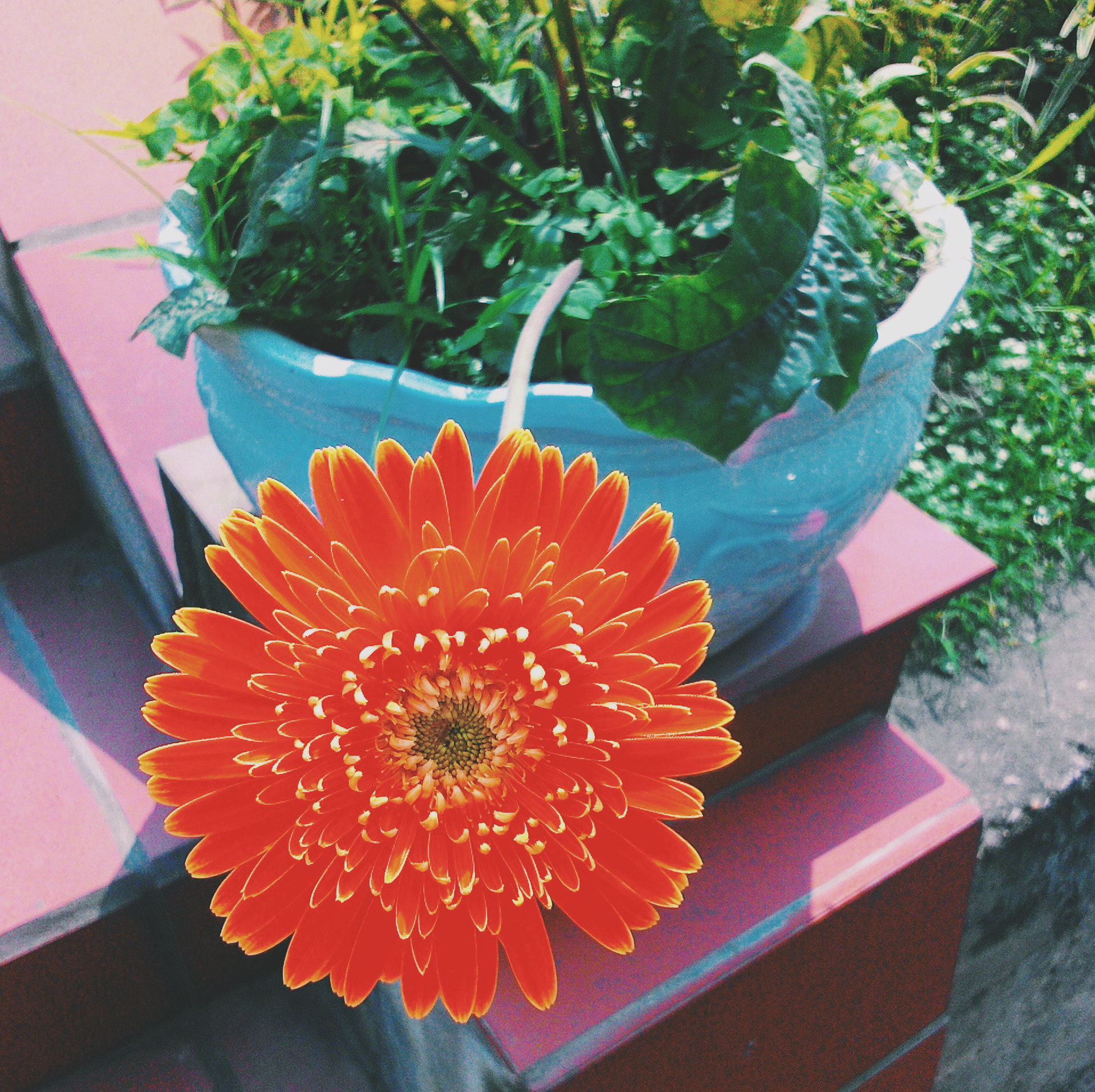 ASUS ZenFone 4 (A400CG) sample photo. Cô đơn photography