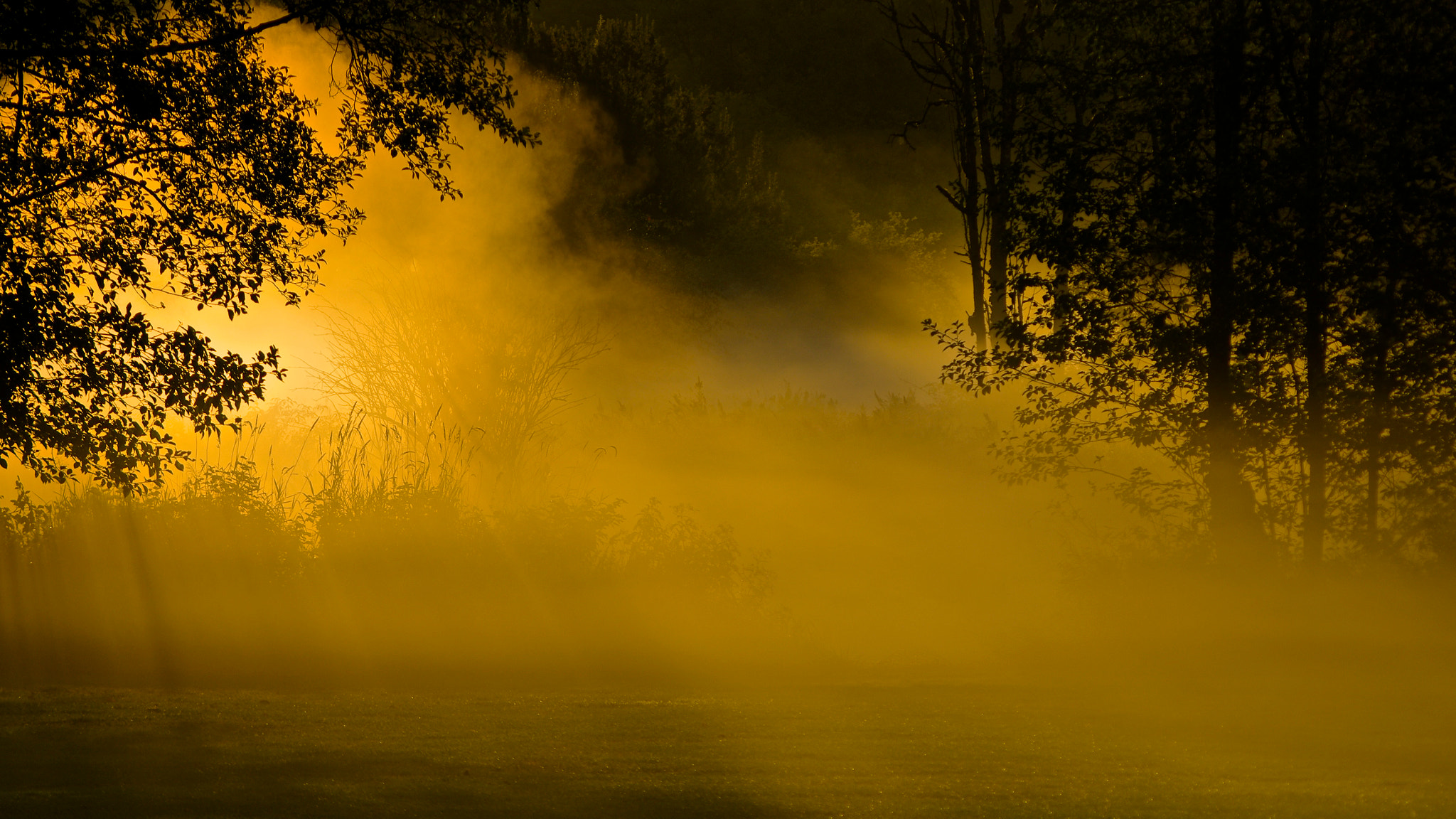 Pentax K-5 + smc PENTAX-FA J 75-300mm F4.5-5.8 AL sample photo. Morning mist photography