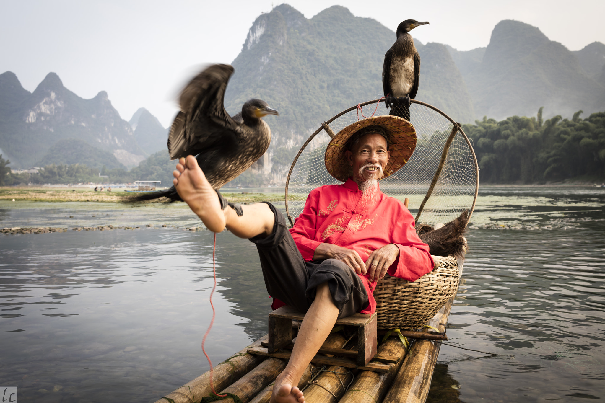 Canon EOS 5DS R + Canon EF 35mm F1.4L USM sample photo. Cormorant dance photography