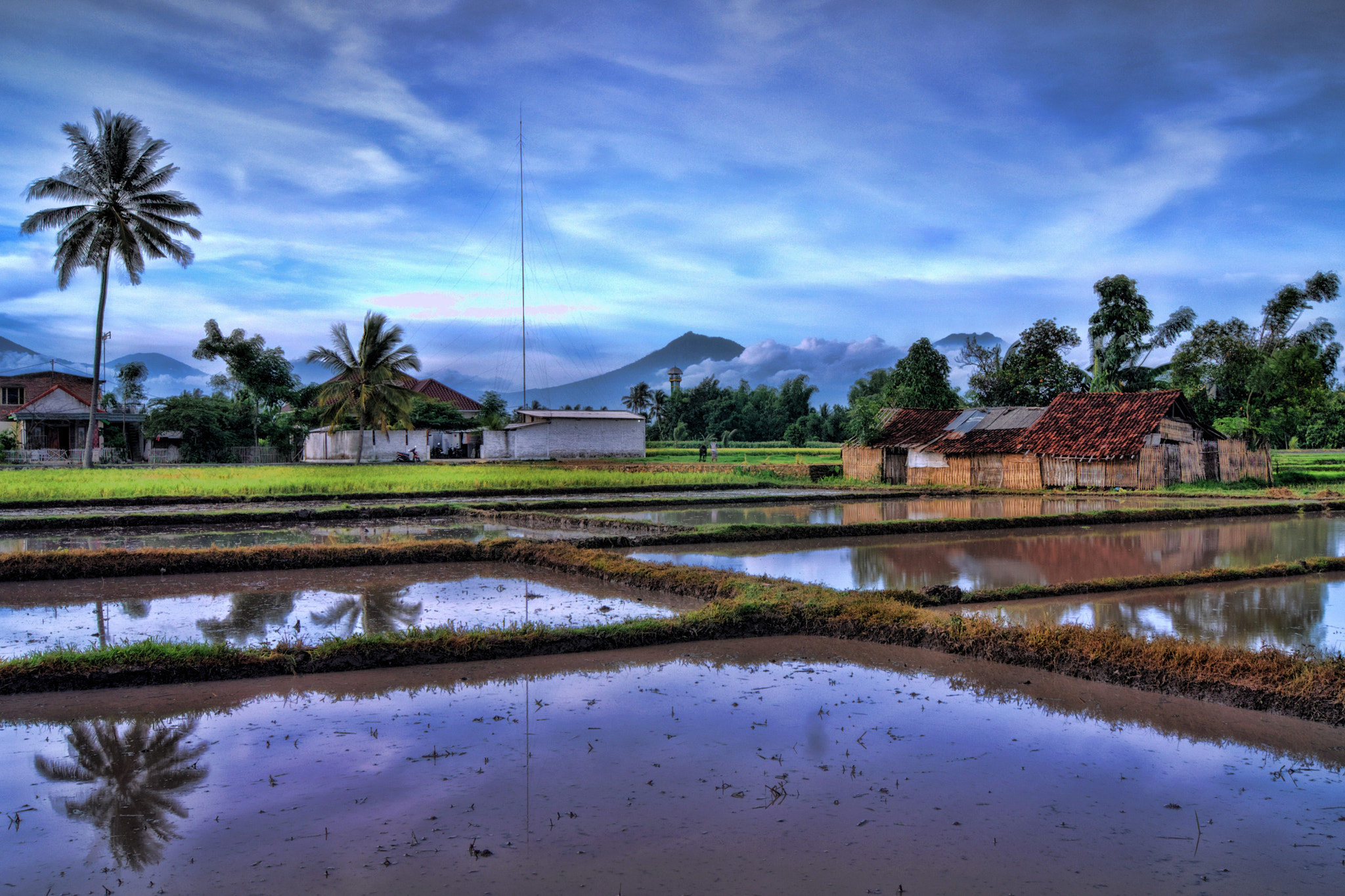 Sony Alpha DSLR-A560 sample photo. Nuansa biru photography