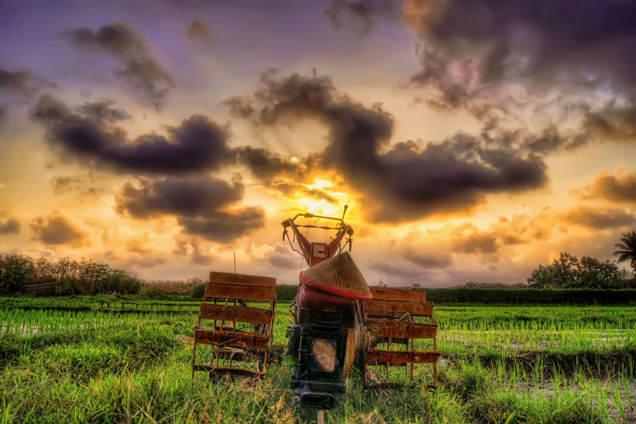 Sony Alpha DSLR-A560 sample photo. Traktor dan senja photography