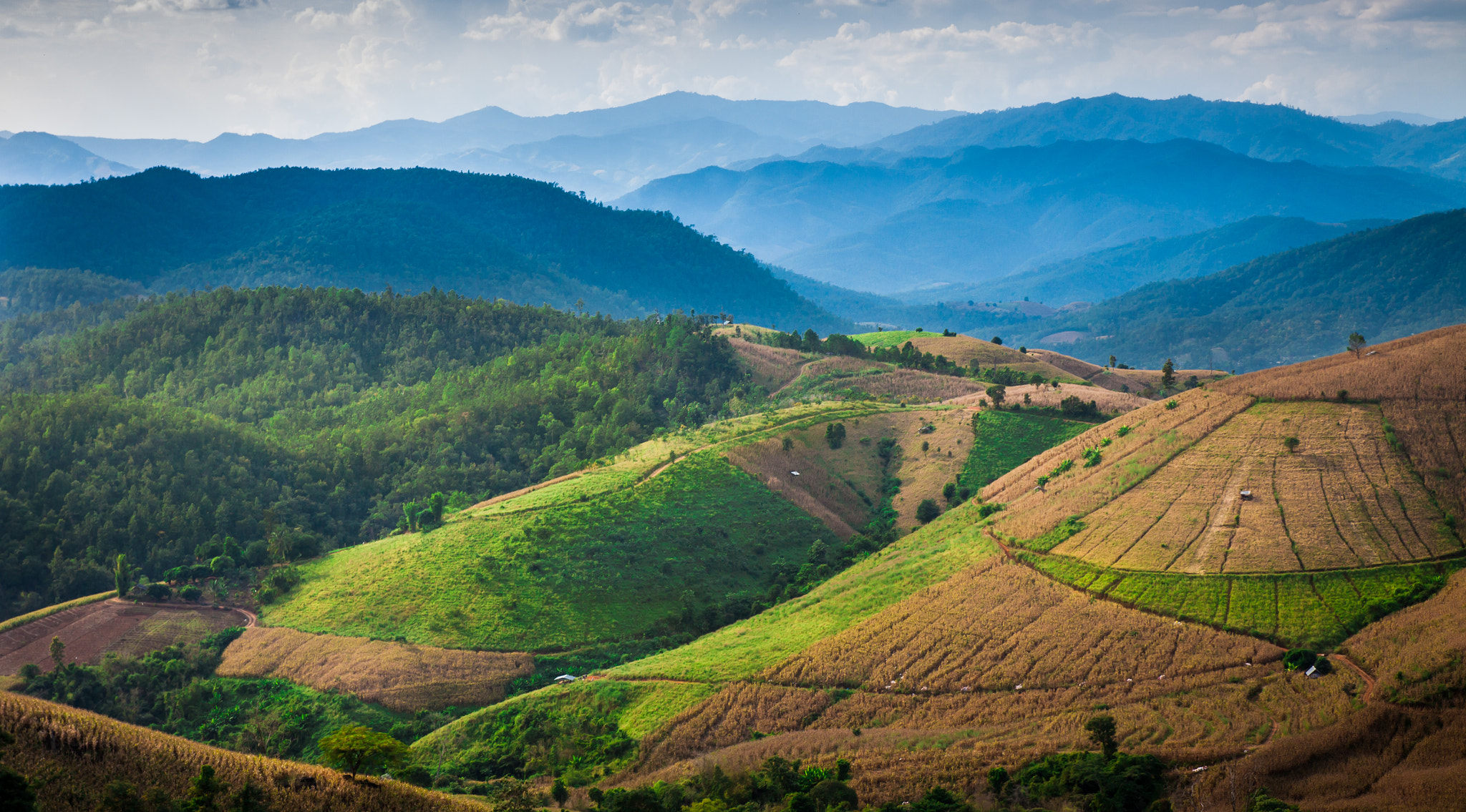 Rice terraces natural scenery in Thailand.