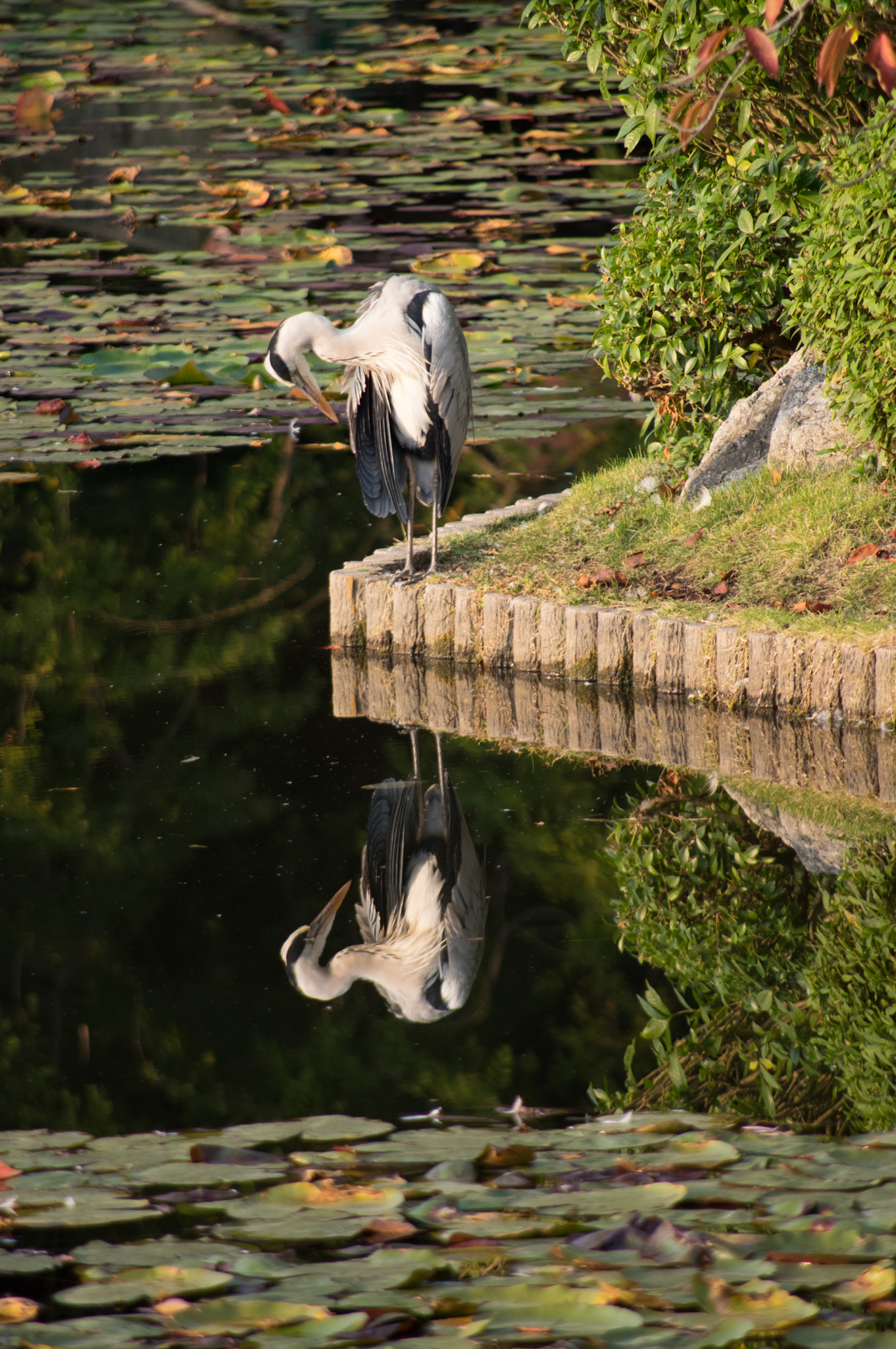 Pentax smc DA 55-300mm F4.0-5.8 ED sample photo. Mirror photography