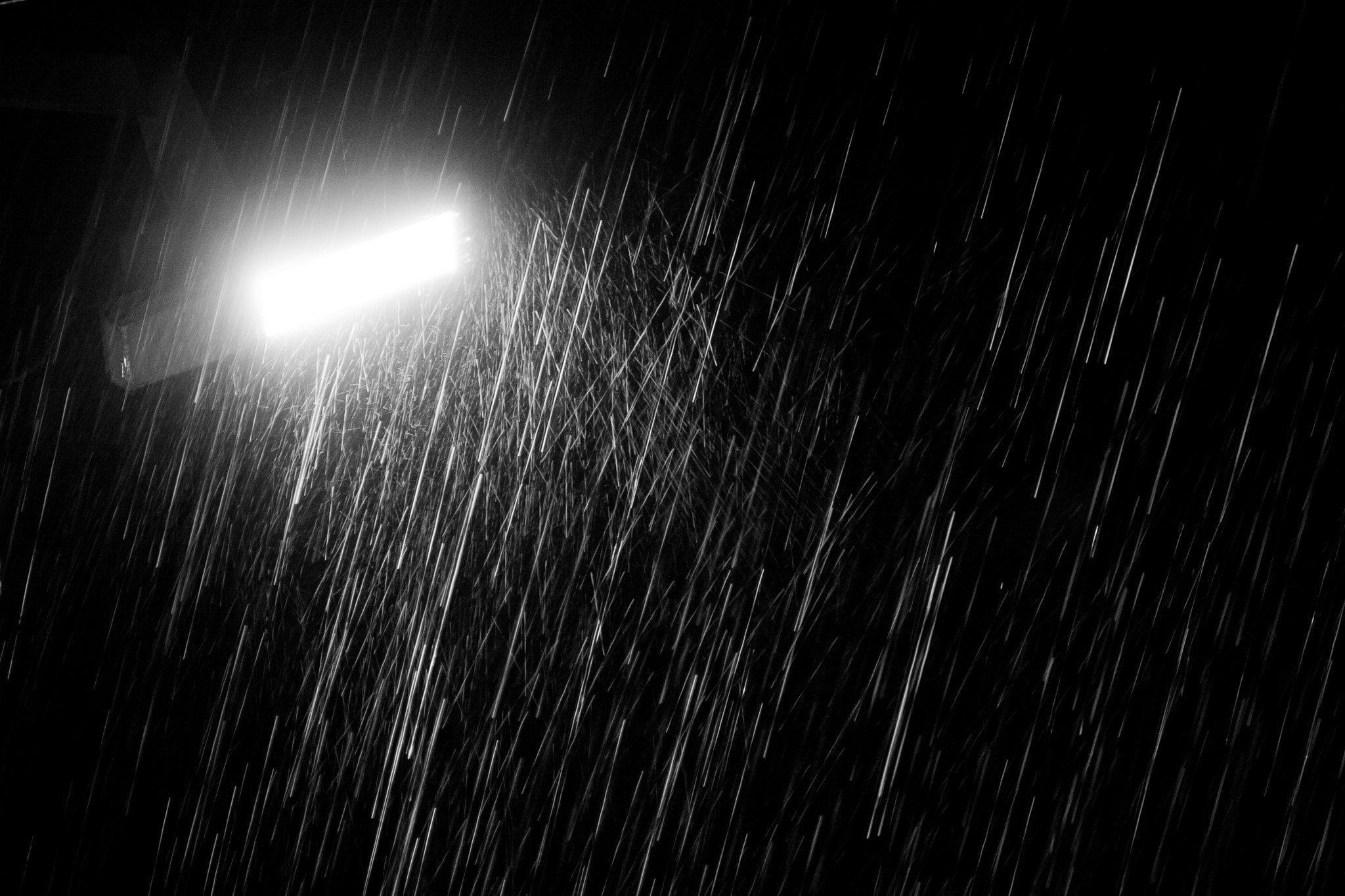Canon EOS 30D sample photo. Rain photography