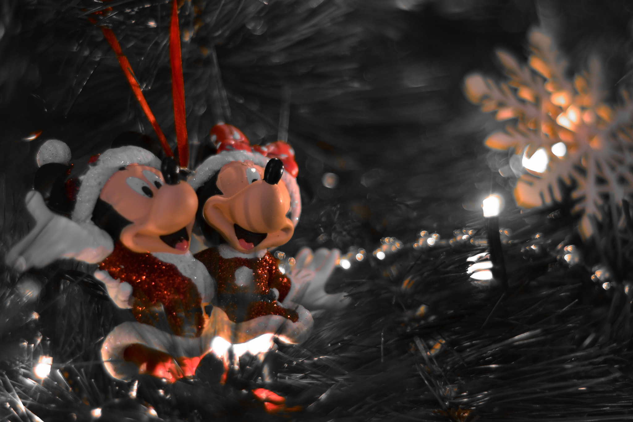 Nikon D5100 + Nikon AF Nikkor 50mm F1.8D sample photo. Happy christmas photography