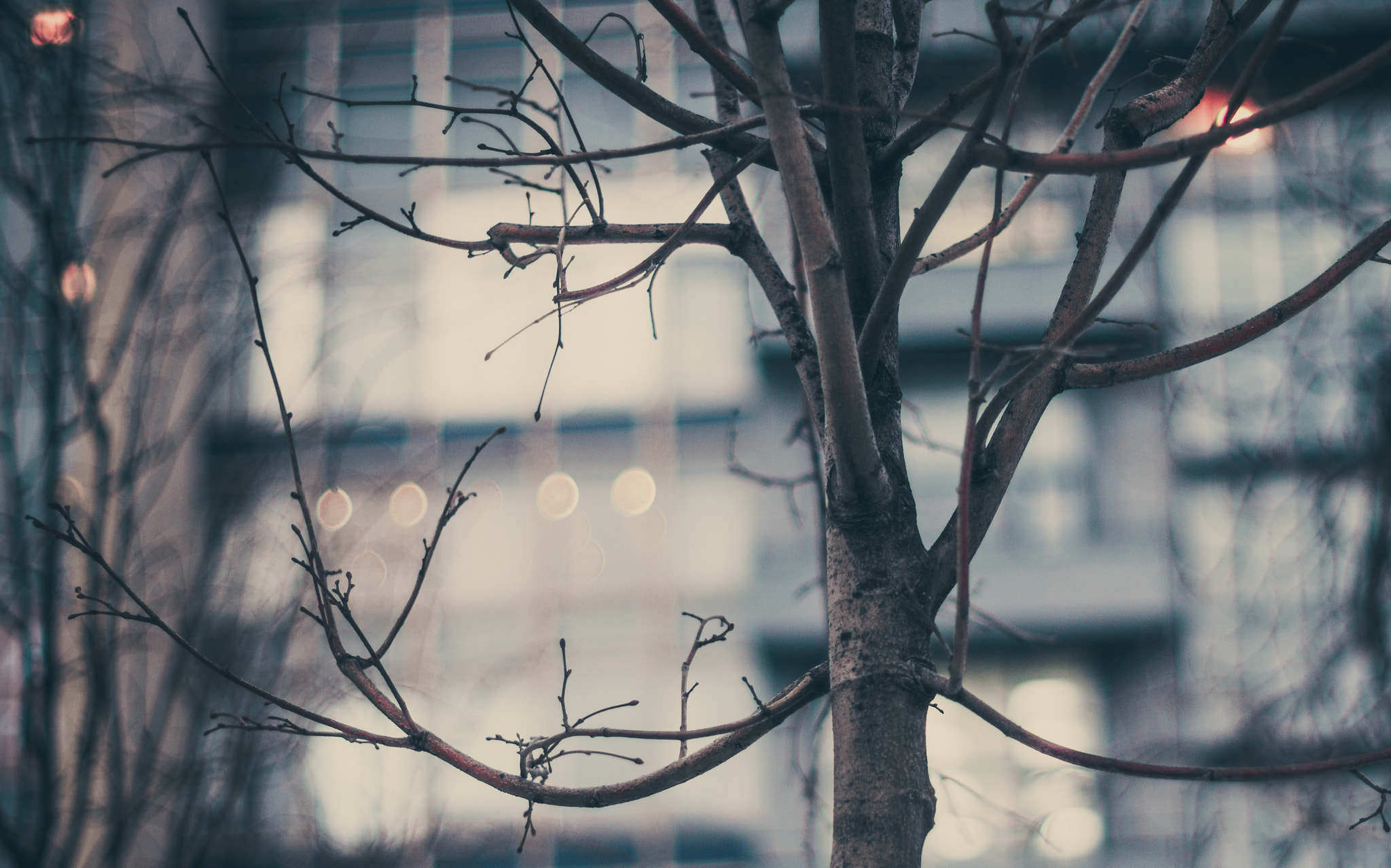 Sony SLT-A57 + Sony 50mm F1.4 sample photo. The death is coming photography