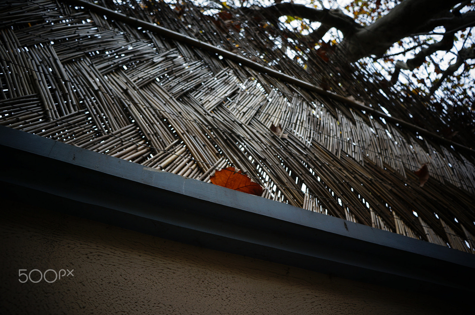 Sony E 20mm F2.8 sample photo. Wk road photography