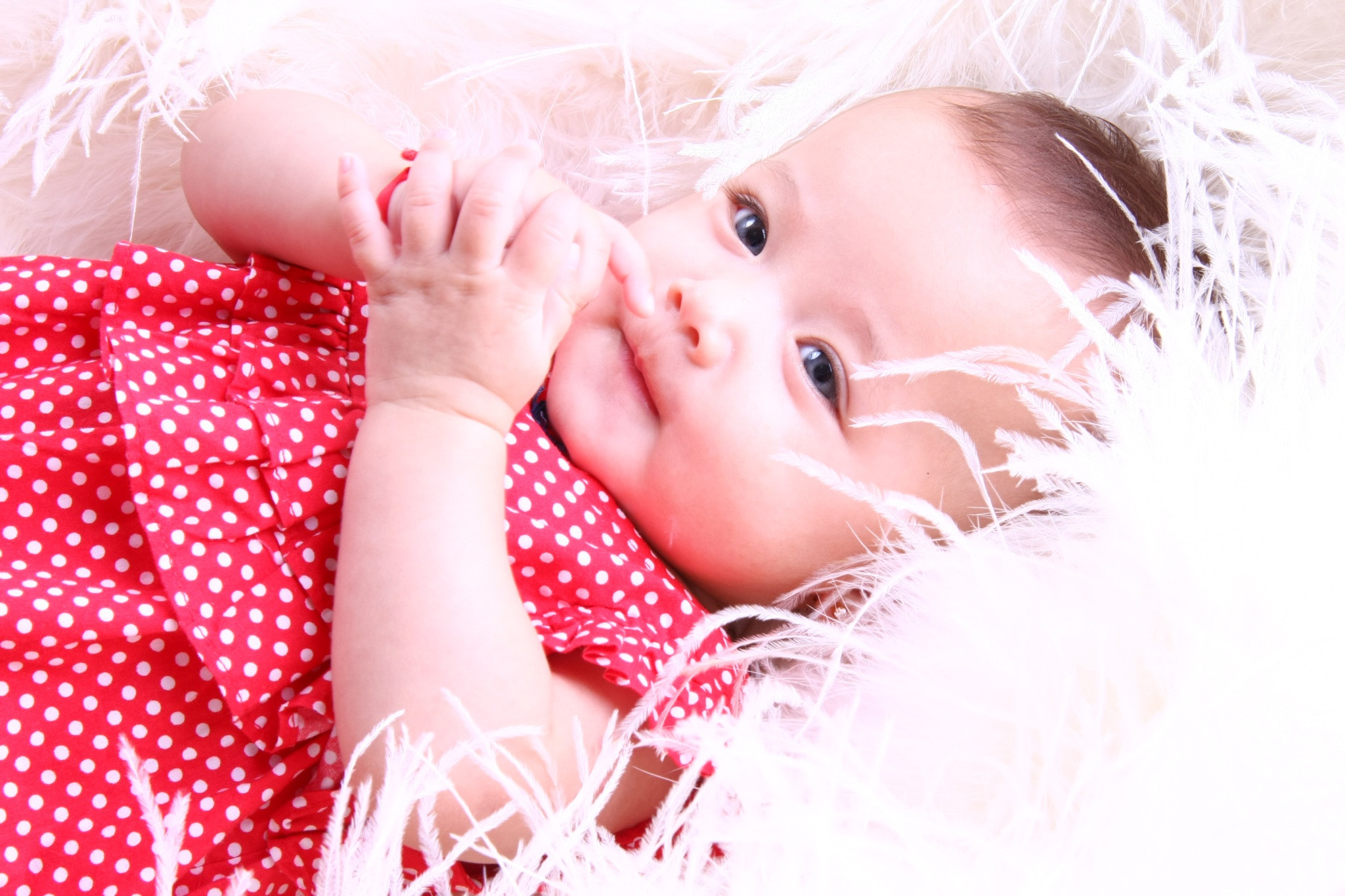 Canon EF-S 17-85mm F4-5.6 IS USM sample photo. Sophia photography