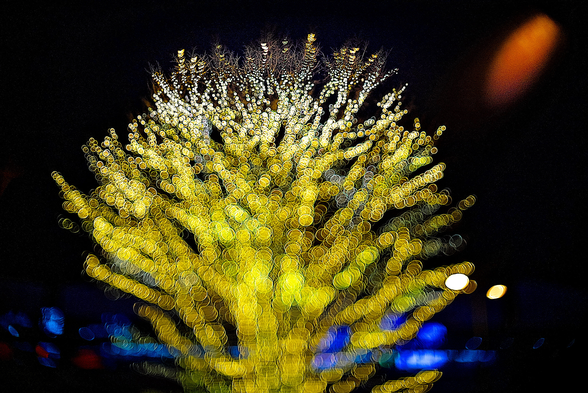 Sony a7S sample photo. All that glitters is not gold photography
