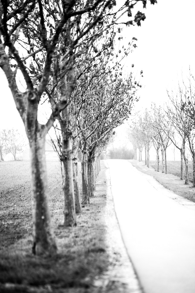 Nikon D3S sample photo. Road to... photography