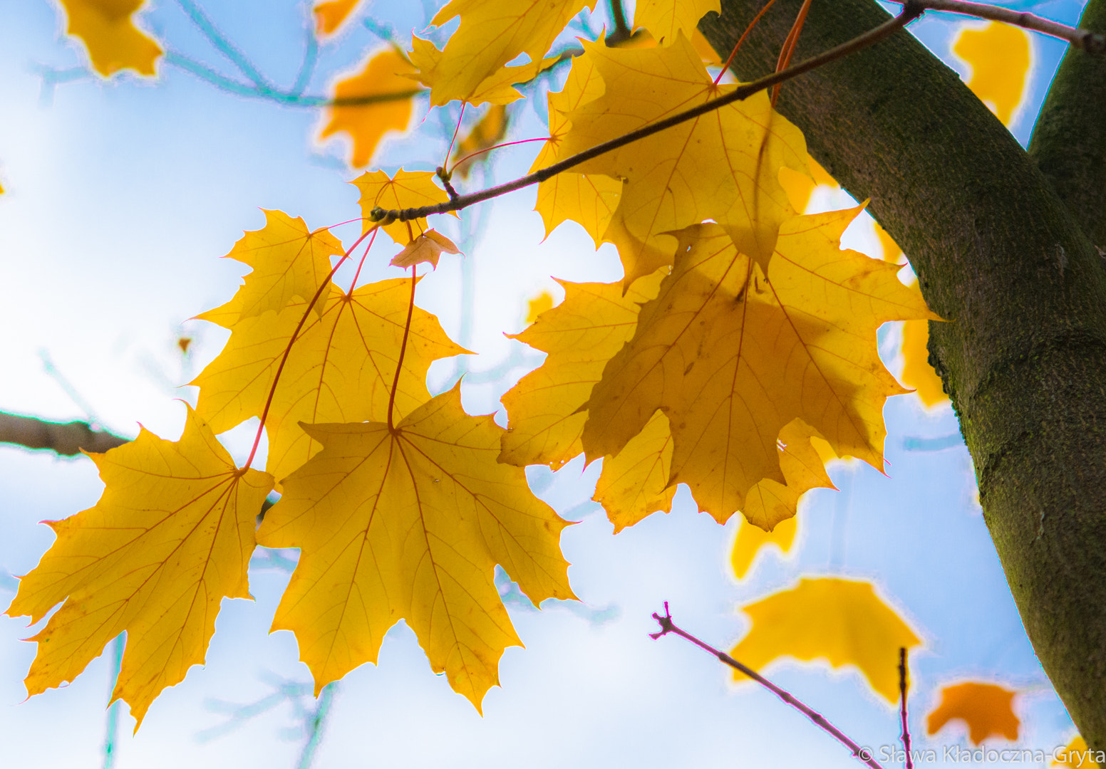 Nikon D7100 + AF Zoom-Nikkor 70-210mm f/4 sample photo. Autumn photography