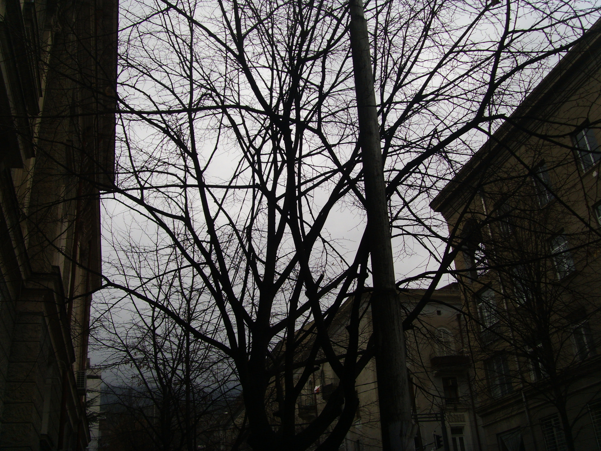 DIGITAL CAM sample photo. Digital camer photography