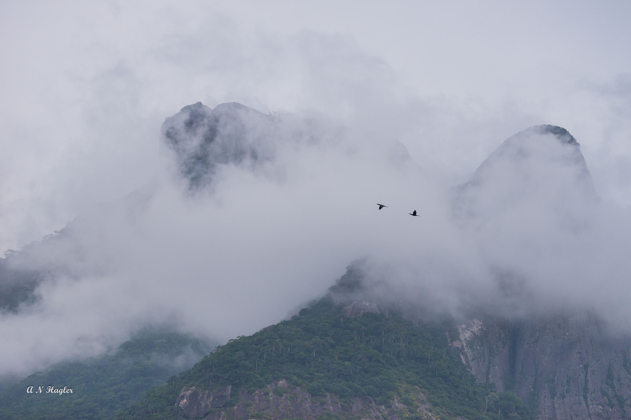 Sony 70-300mm F4.5-5.6 G SSM sample photo. Pedra da gavea south face with birds photography