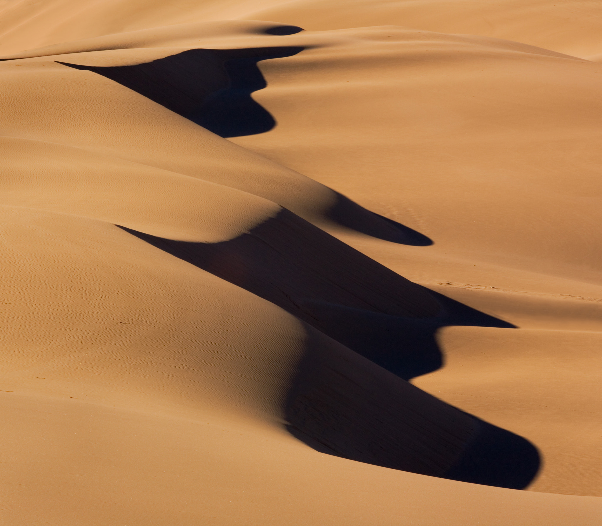 Canon EOS 5D + Canon EF 70-200mm F4L USM sample photo. Dune shapes photography