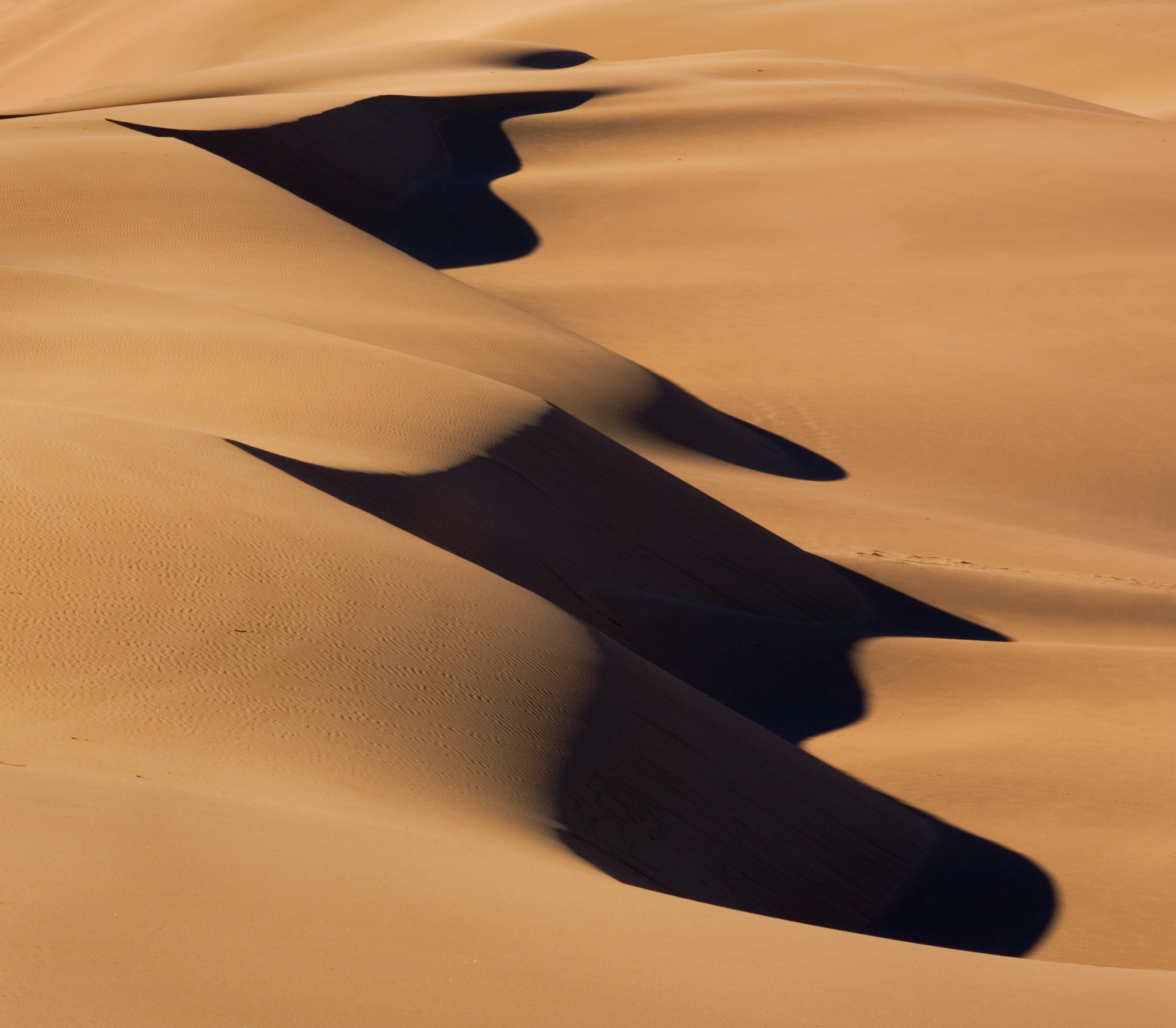 Canon EF 70-200mm F4L USM sample photo. Dune shapes photography